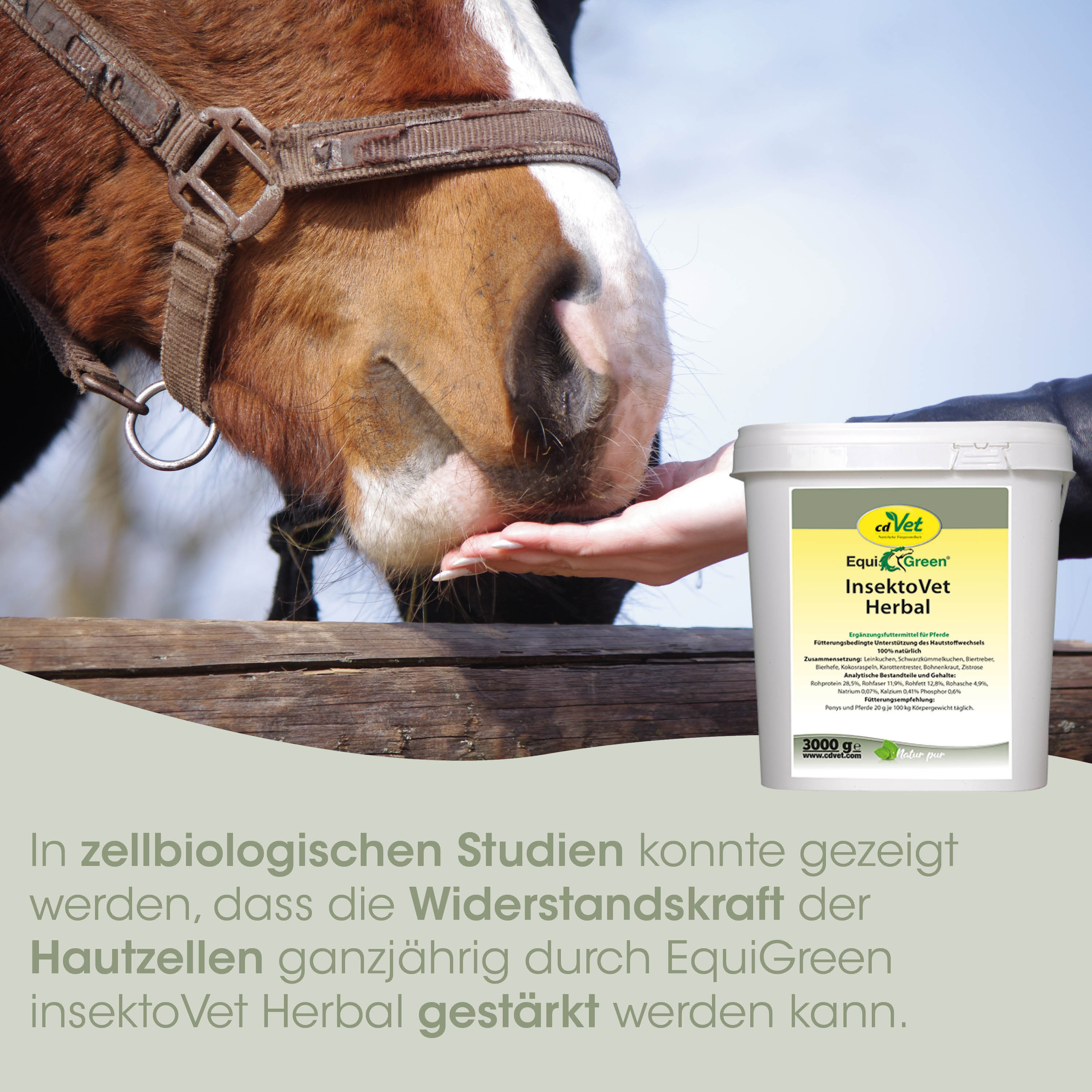 Pferd, Hippus, Halfter, Mundstück, InsektoVet Herbals