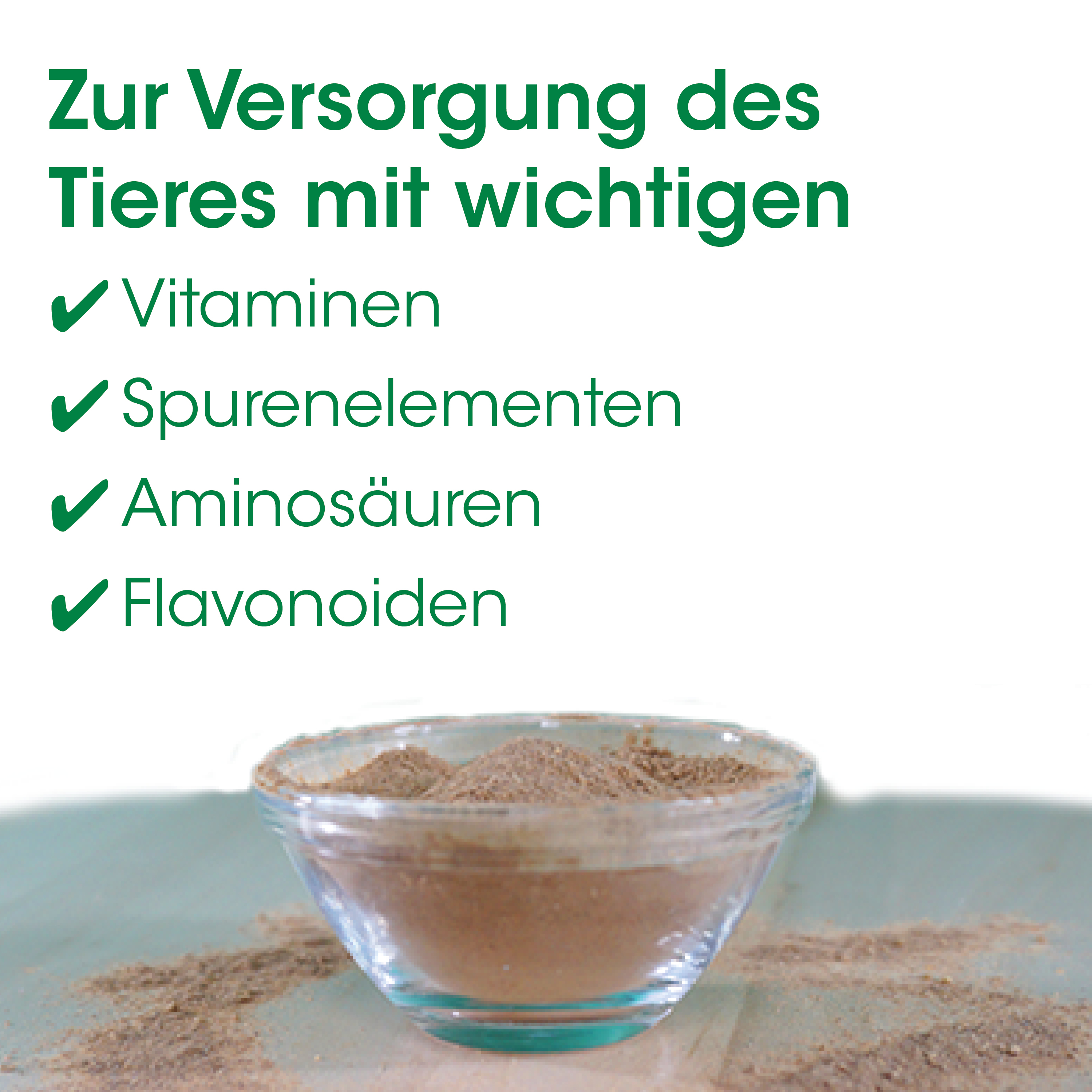 Pulver, Gewürz, gemahlen, Schüssel, Textur