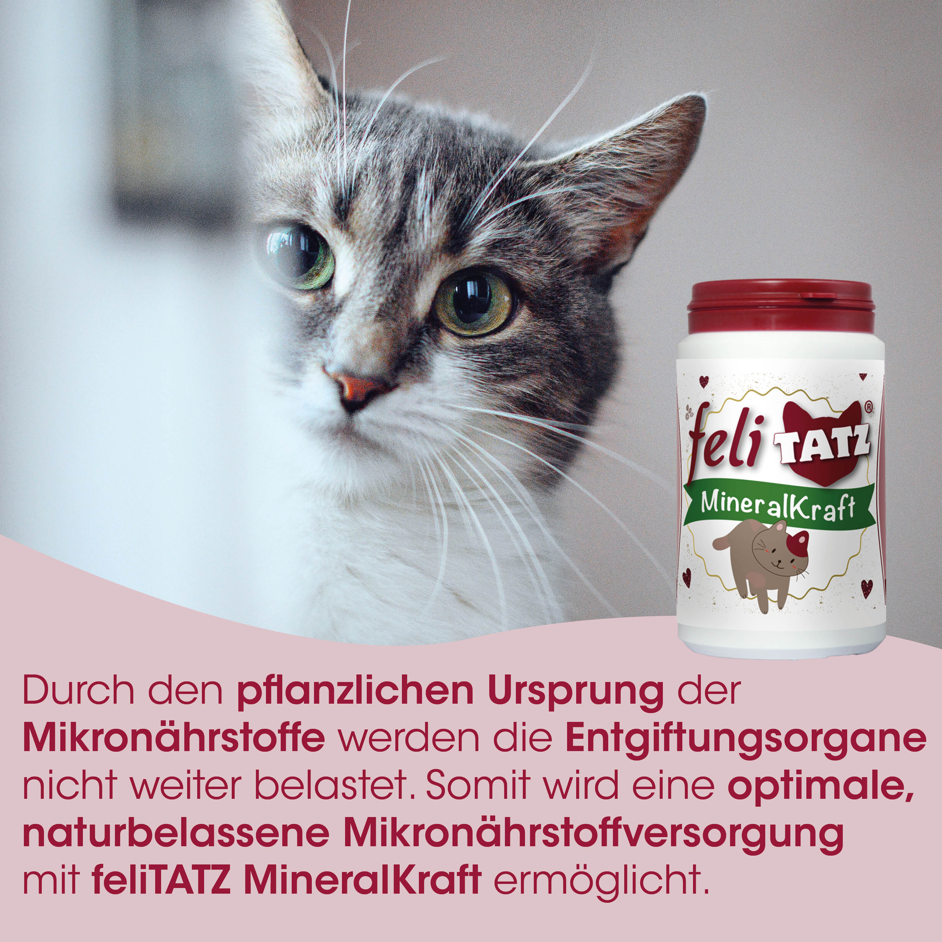 katzensupplement, mineralstoff, pelzpflege, feliTatz, flasche