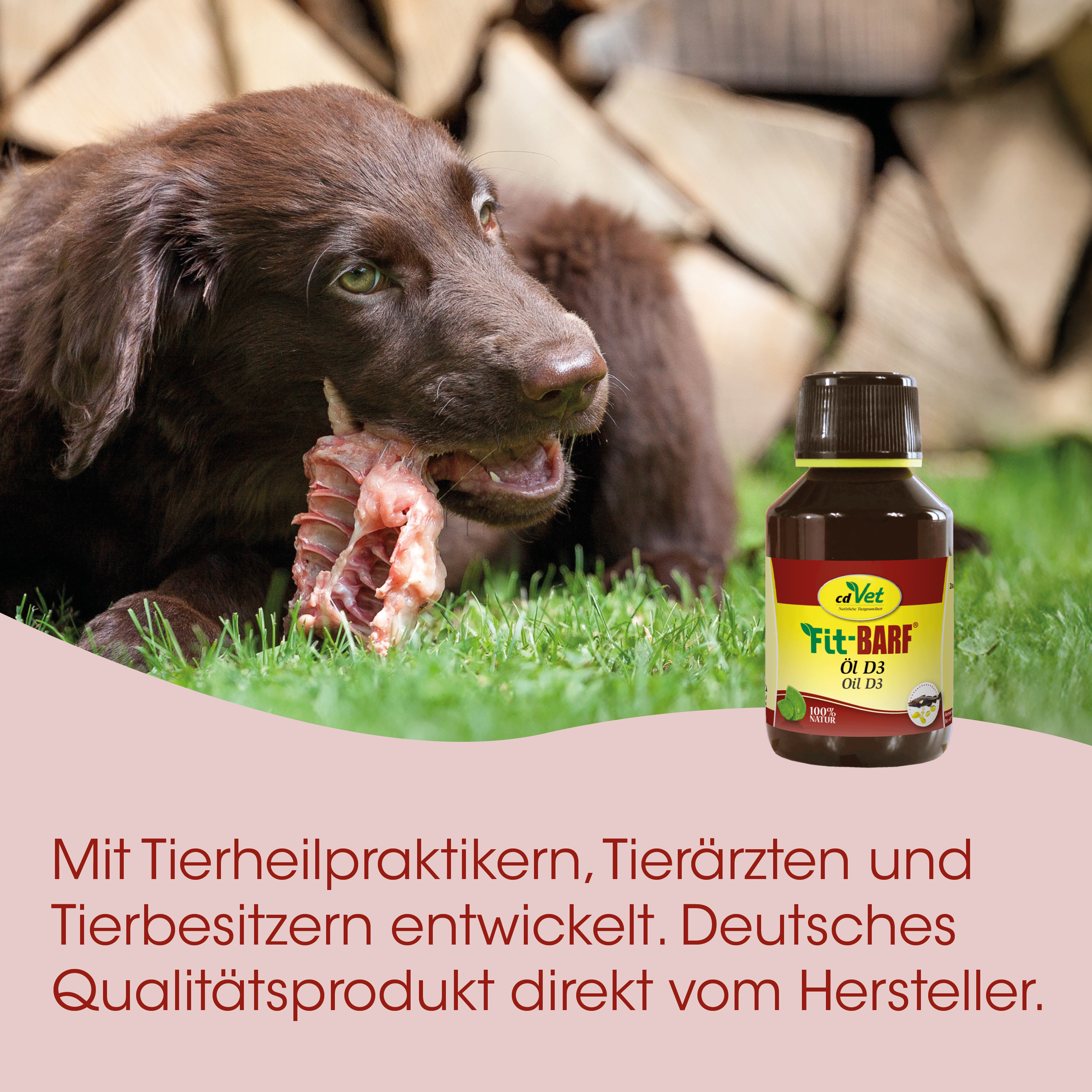 Hund, Futtermittel, Öl D3, Rindfleischfutter, Tierarztpraxis