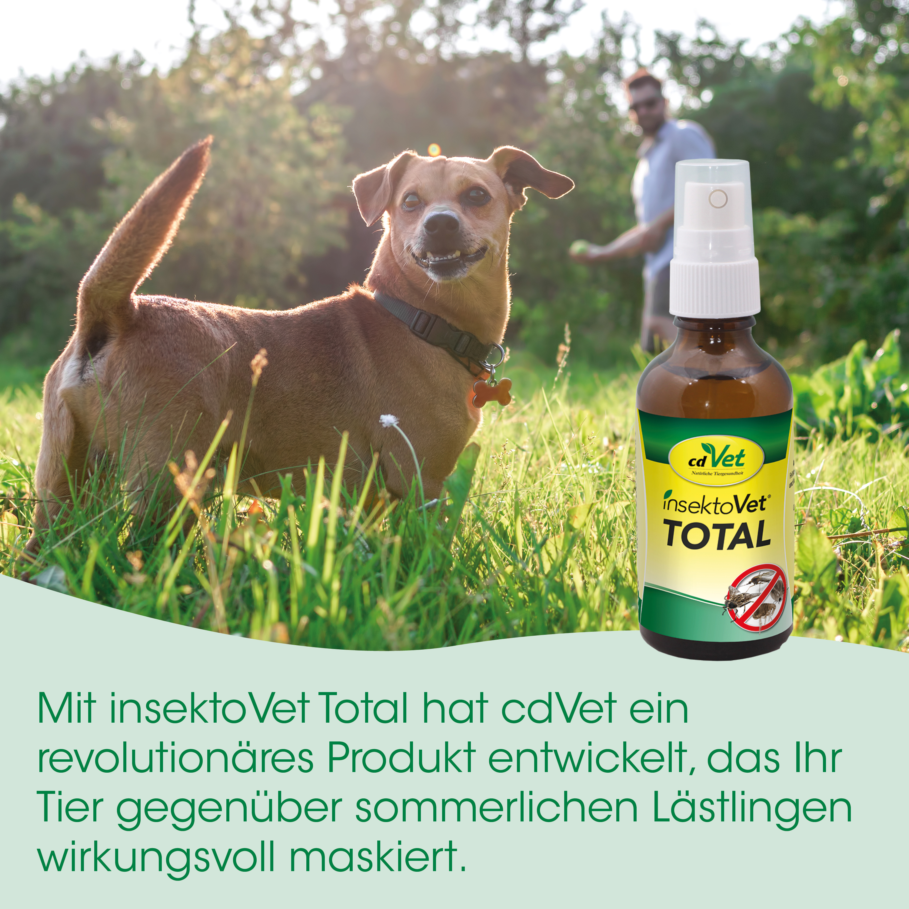 Hund, Hundegesundheit, Insektenschutz, Spray, Total