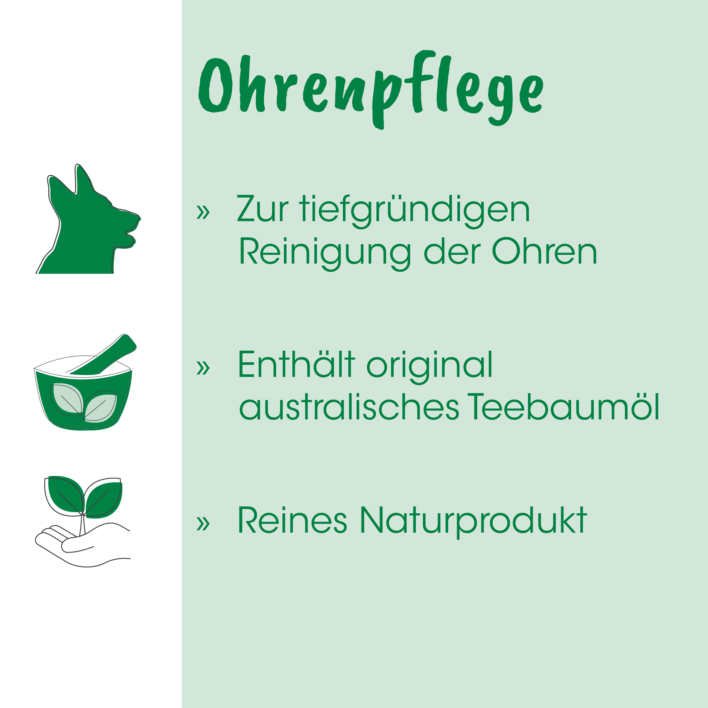 Ohrenpflege, Reinigung, Naturprodukt, Teebaumöl, Augenpflege