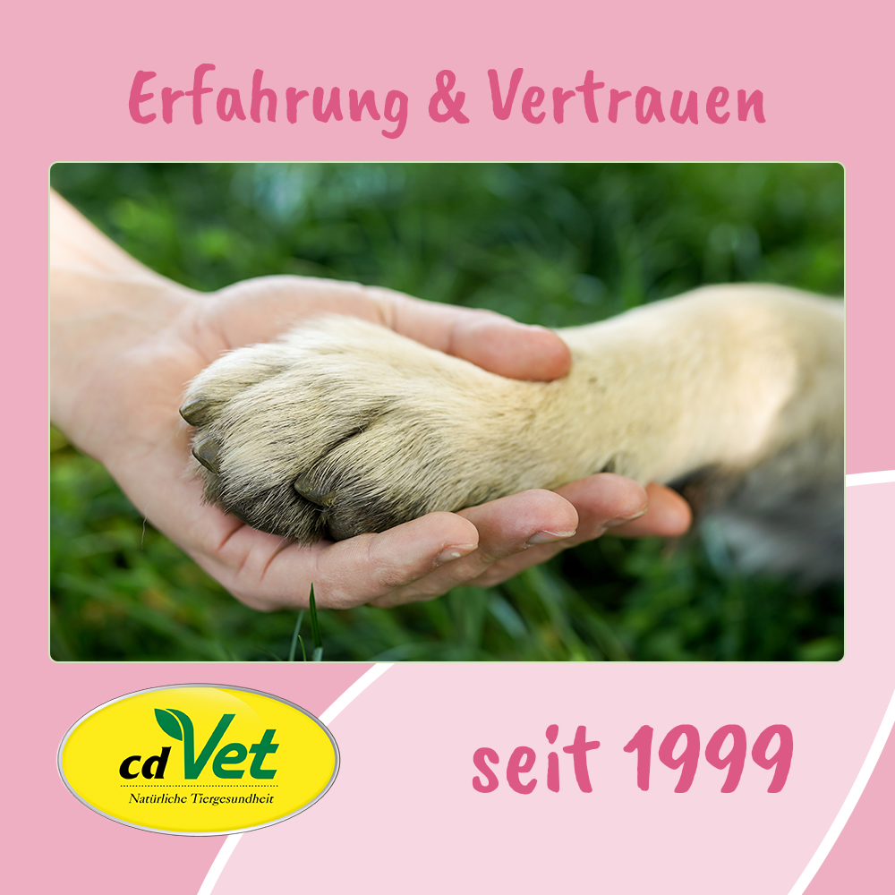 Hundepfote, Pfote, Nagel, Tierpflege, Gehilfe