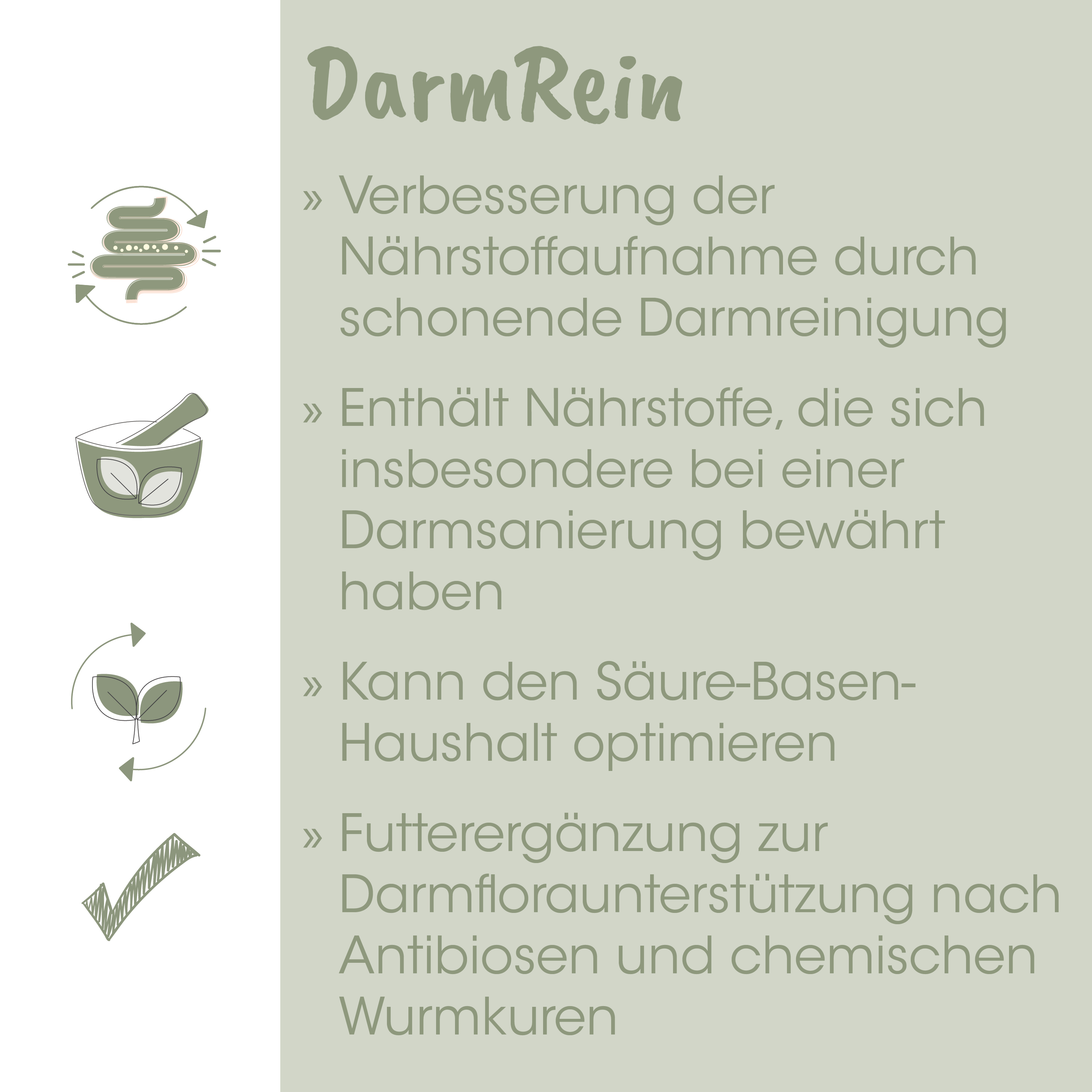Probiotika, Verdauungsgesundheit, Darmbakterien, Darmatgesundheit, Ballaststoffergänzung