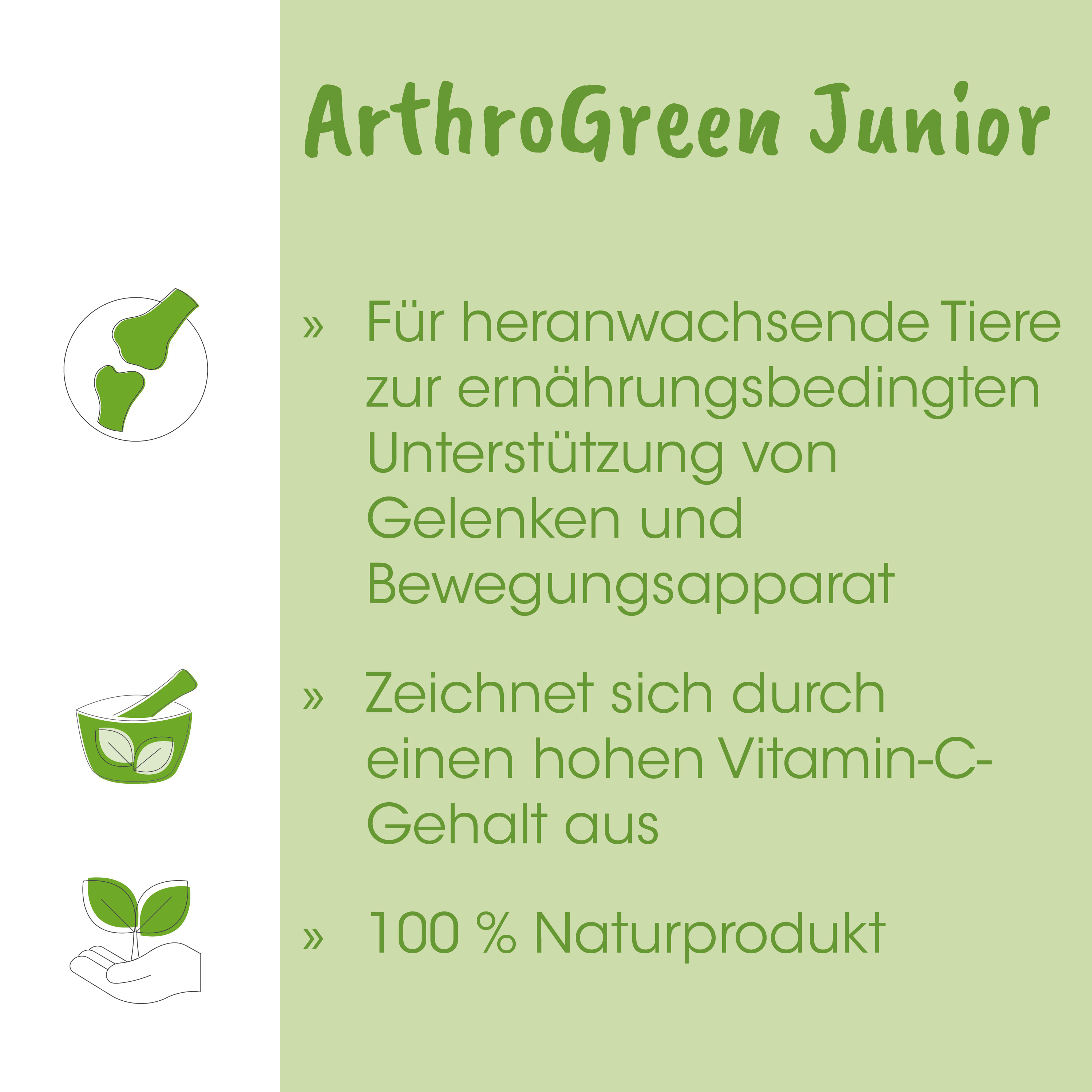 Knochen, Gelenk, Grün, Becher, Blatt