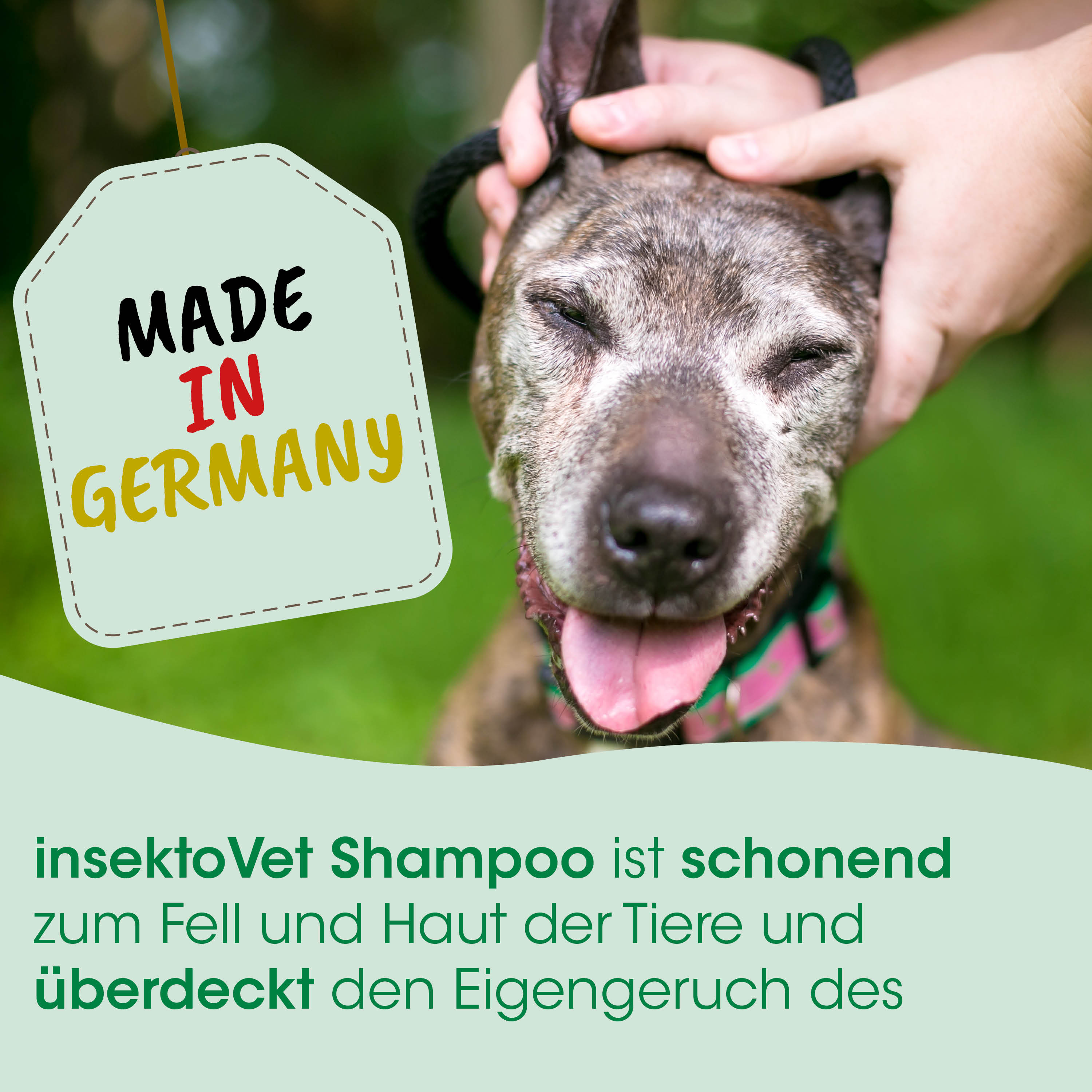 Hund, Collie Mischling, Gassi, Pfoten, Pflegemarke