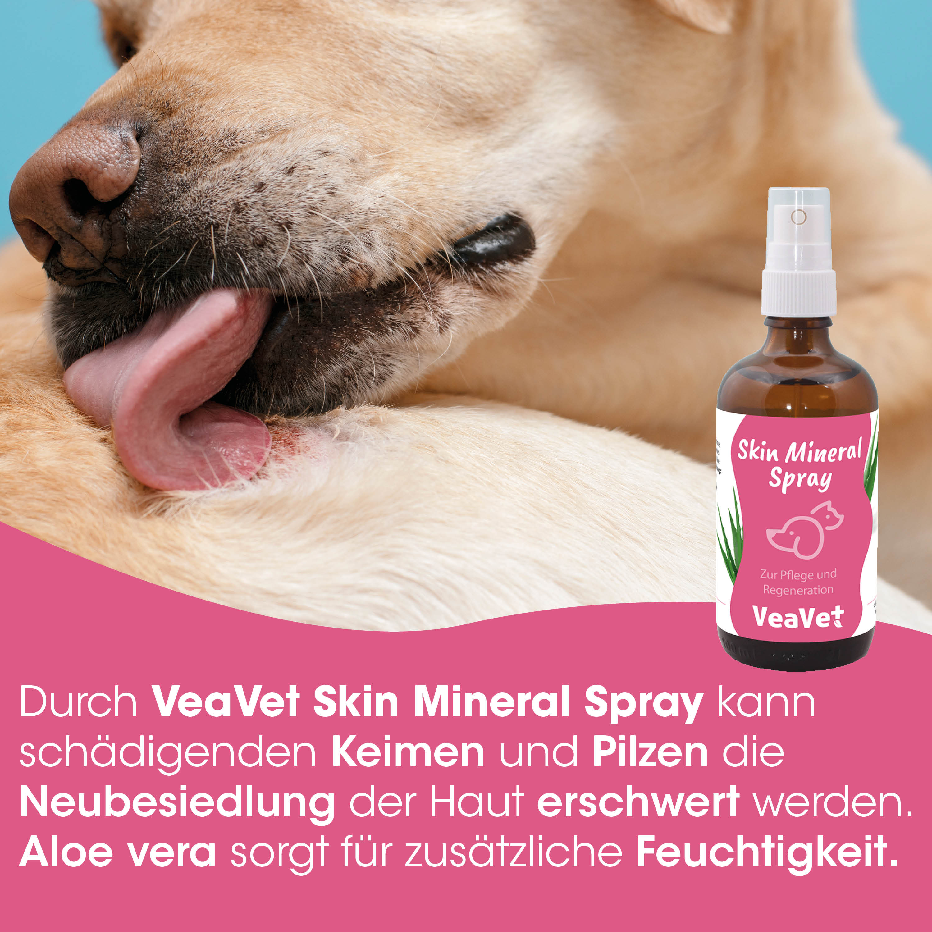 Hund, Spray, Tierpflege, Skin Mineral Spray, Flasche