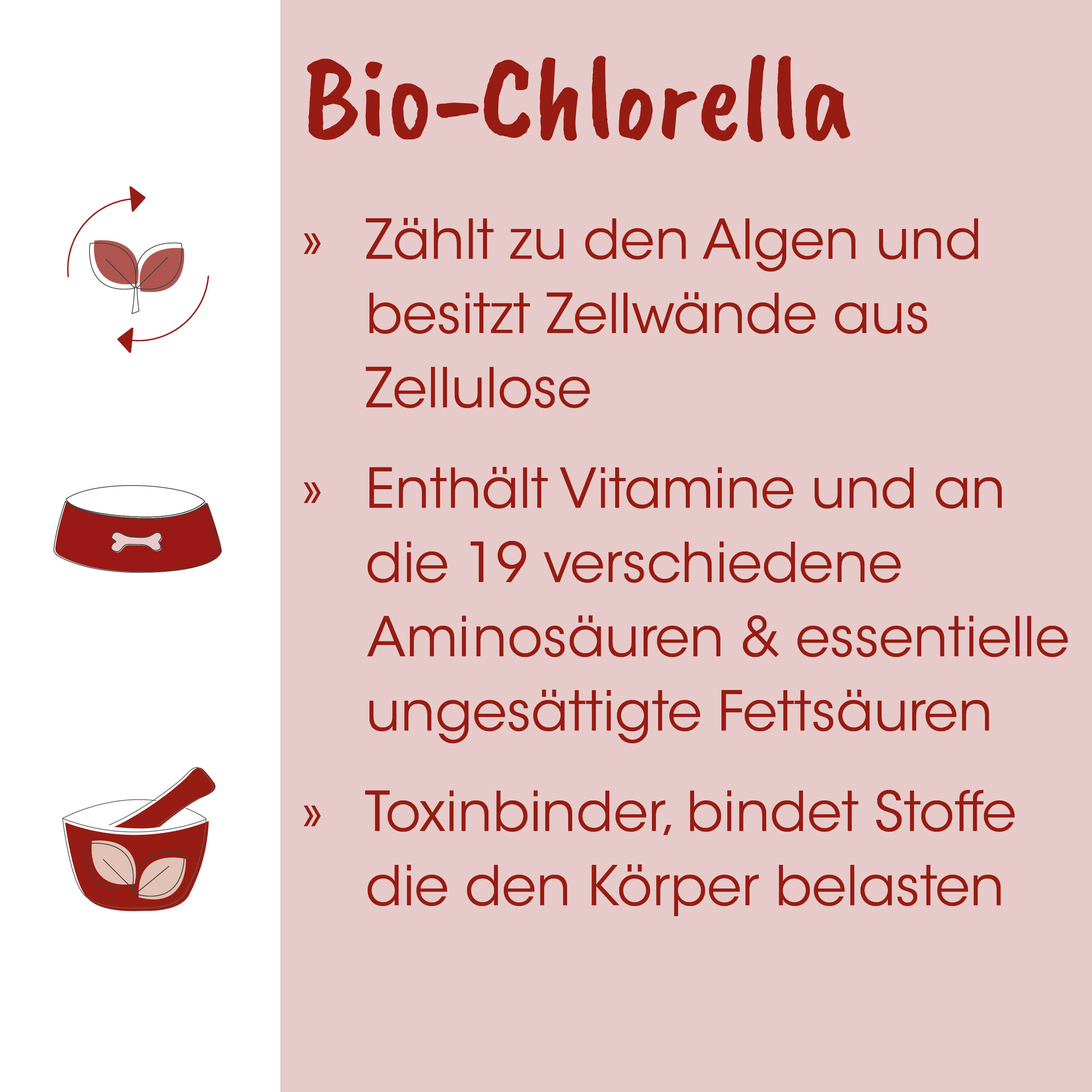 Bio-Chlorella, Algen, Zellwand, Zellulose, Vitamine