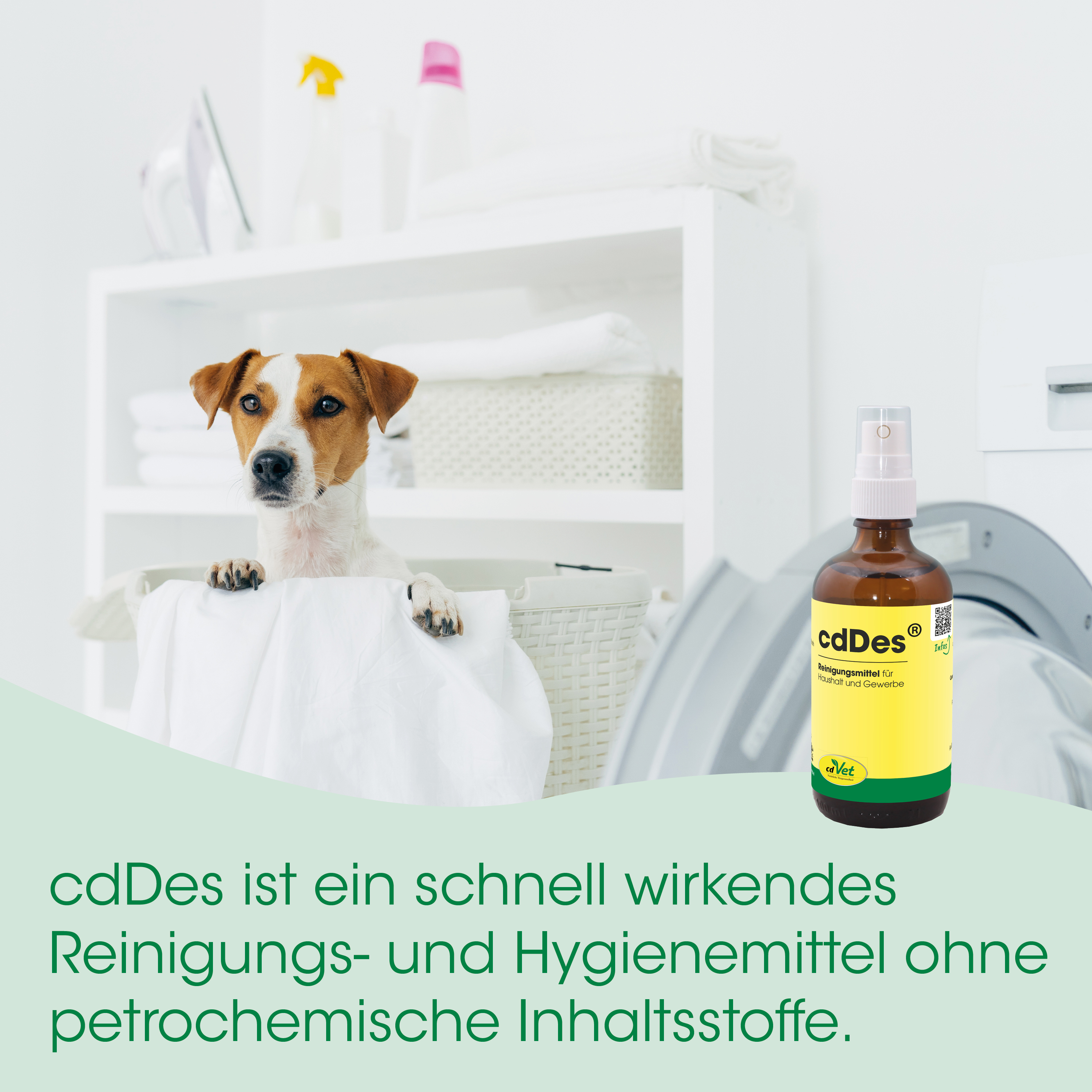Hund, Waschraum, Waschmittel, Flasche, Haustierpflege
