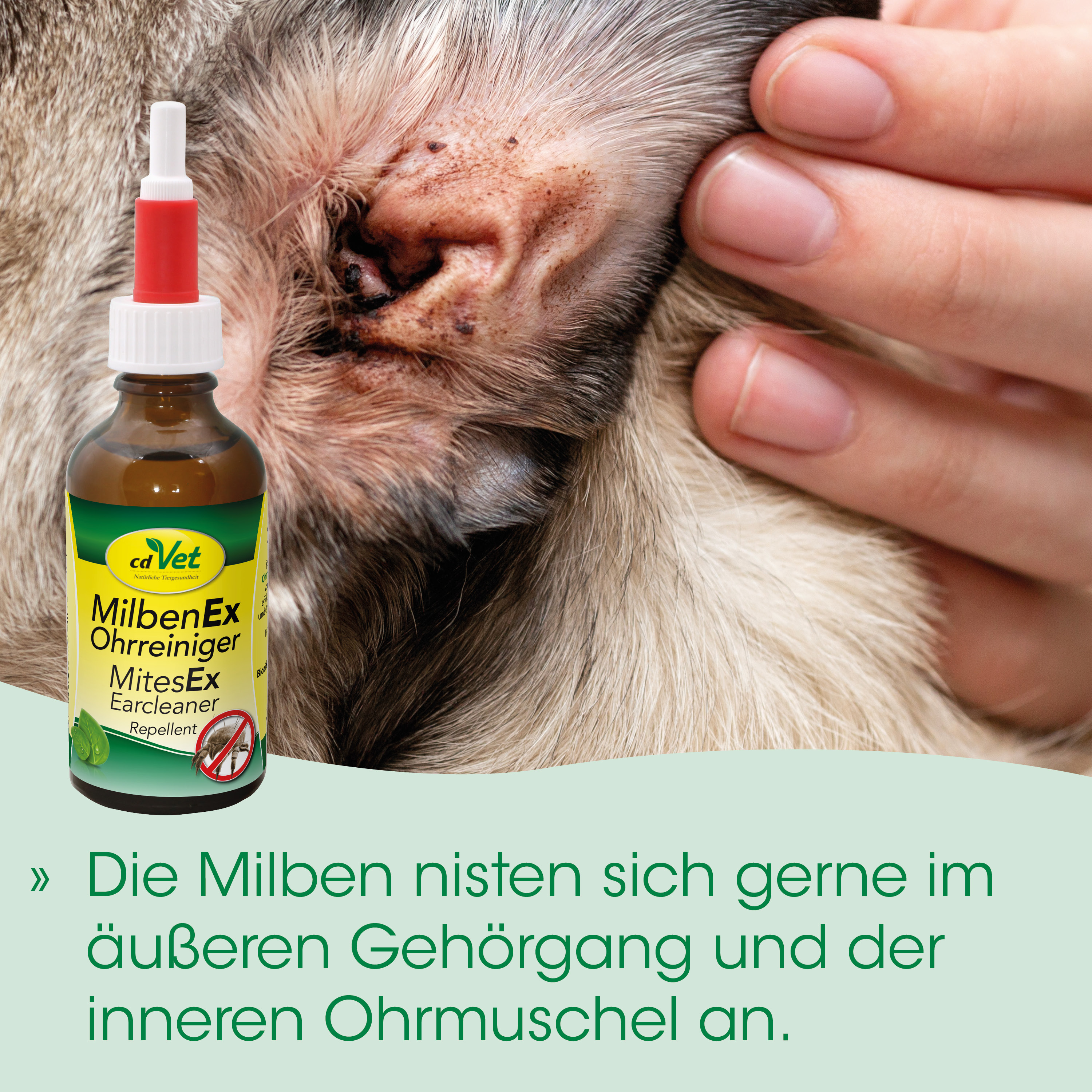 Ohrreiniger, Ohrentropfen, Tiermedizin, MilbenEx, Ohrpflege