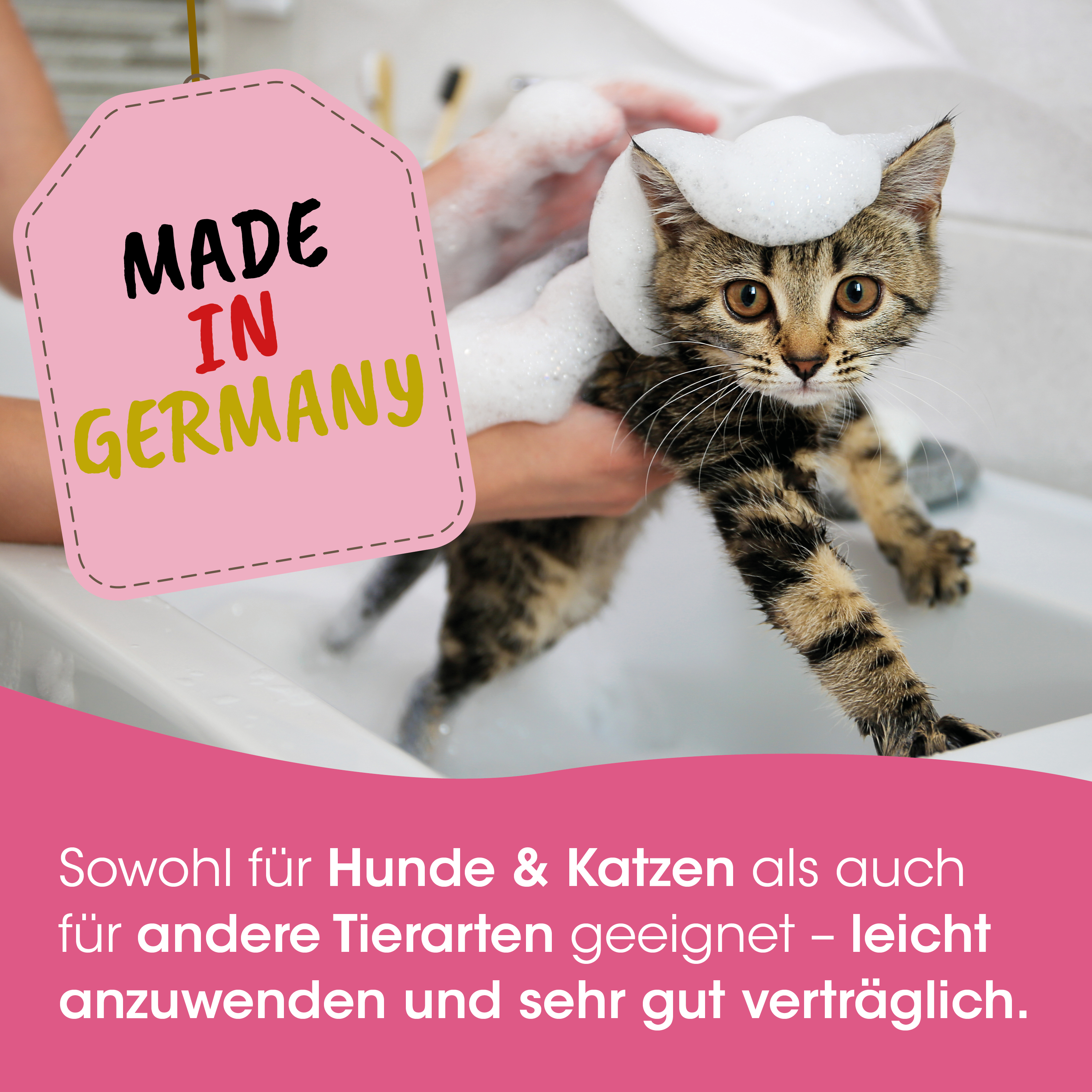 Katzenbad, Katzenbadewanne, Haustierpflege, Seifenblasen, Made in Germany