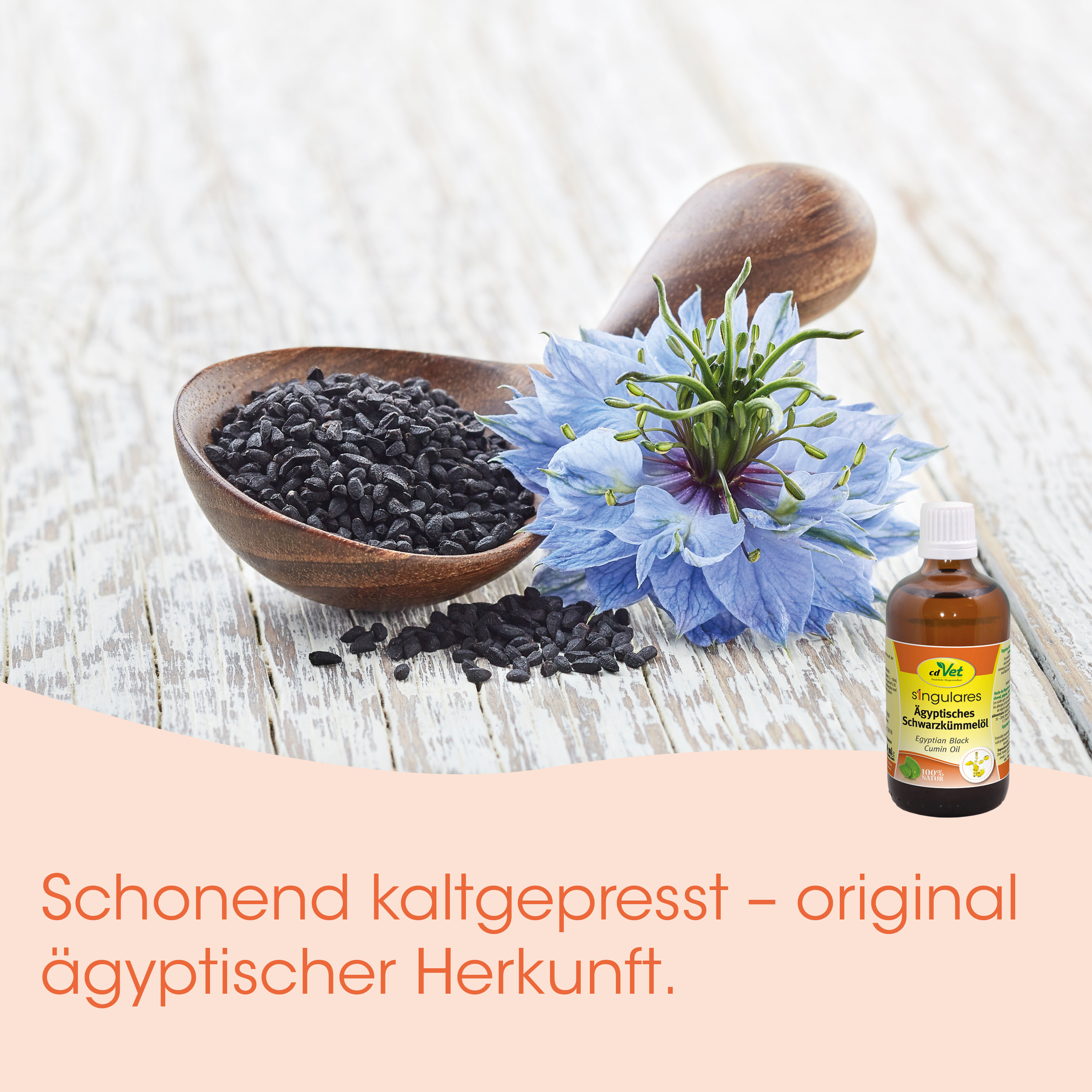Kräuteröl, schwarzkümmel, flach, blüte, flasche