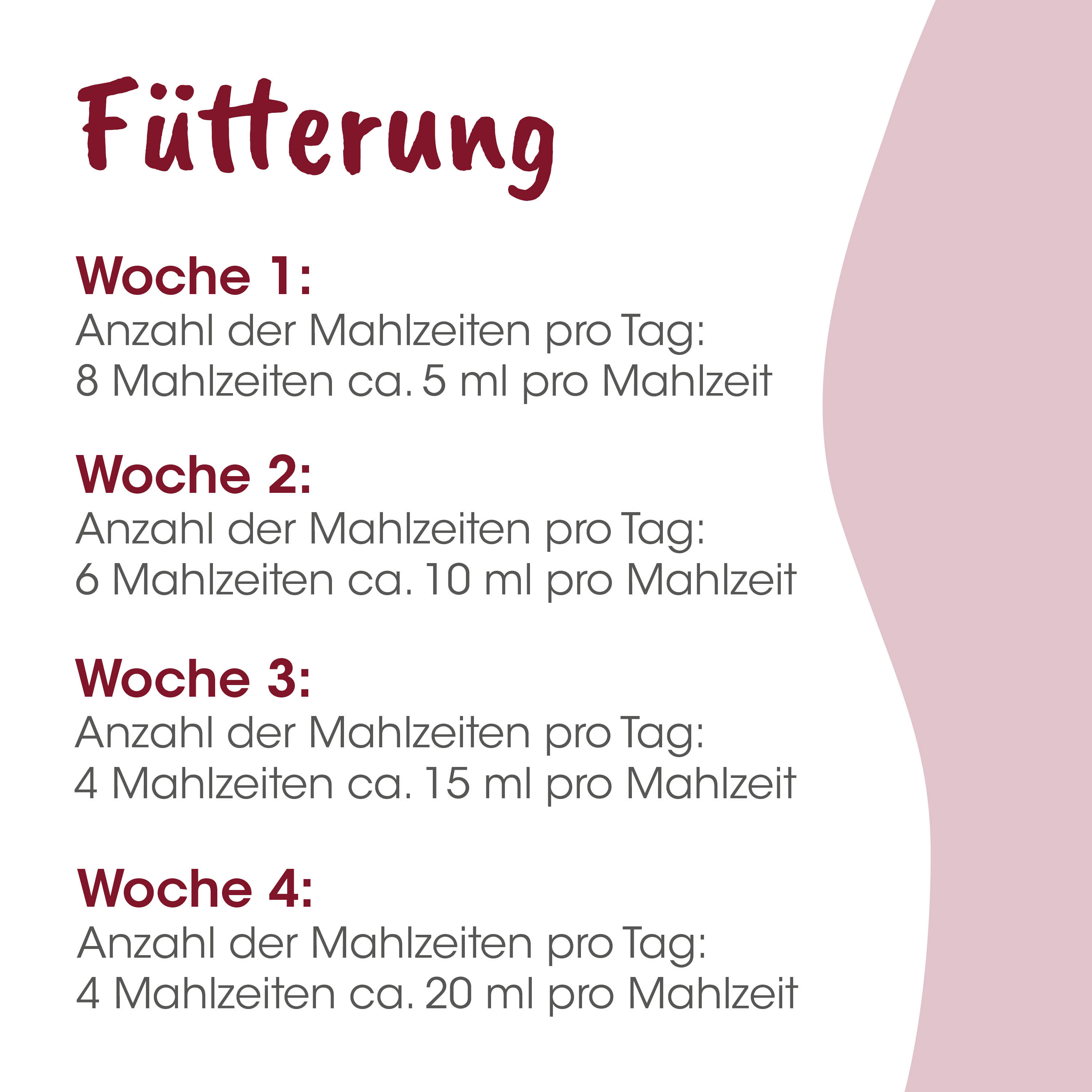 Werbung, Plakat, Text, Seite, Speisekarte