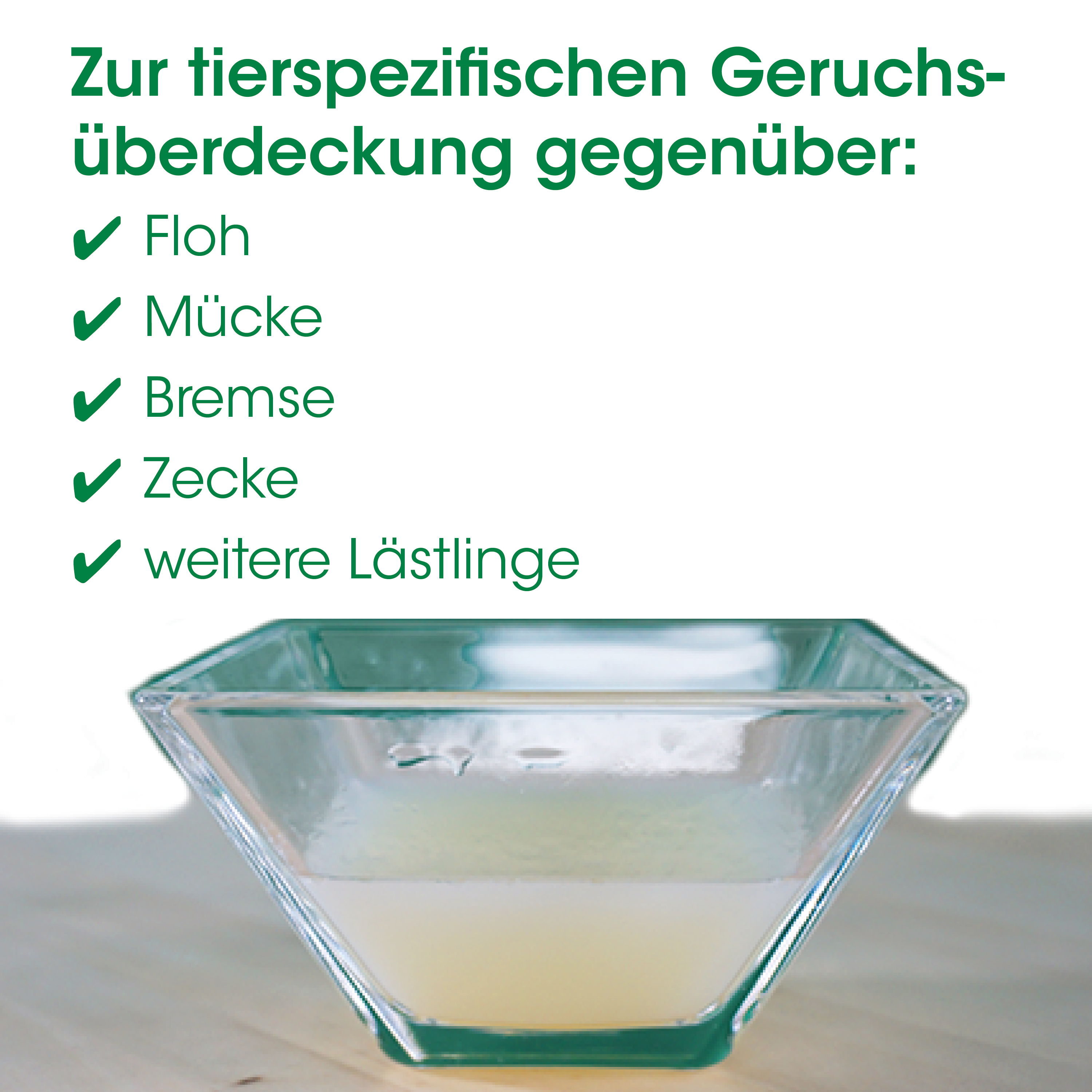 glas, schüssel, quadratglas, untersetzer?, lemonade?