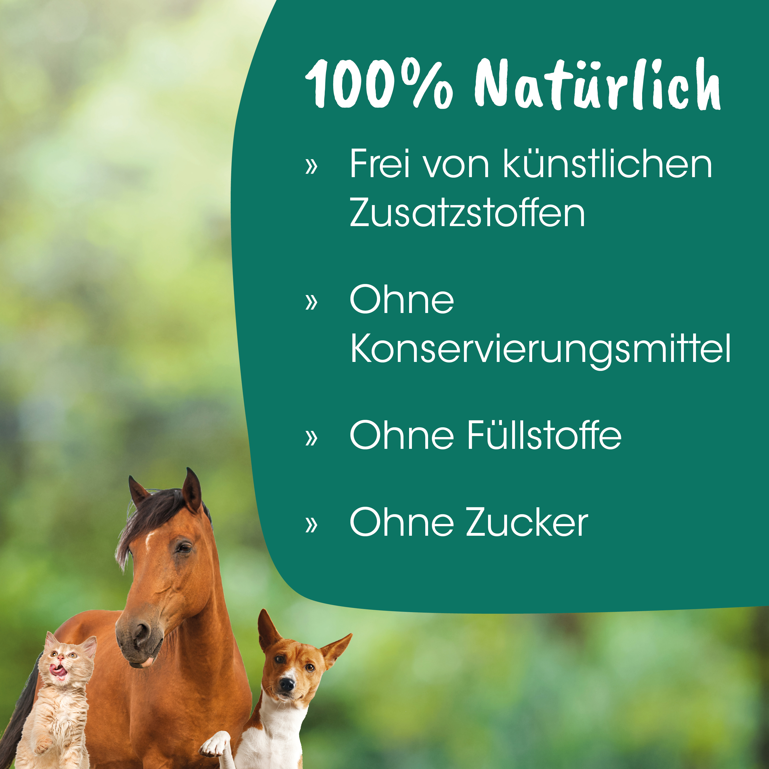 Pferd, Hund, Katze, Lifestyle, Haustiere