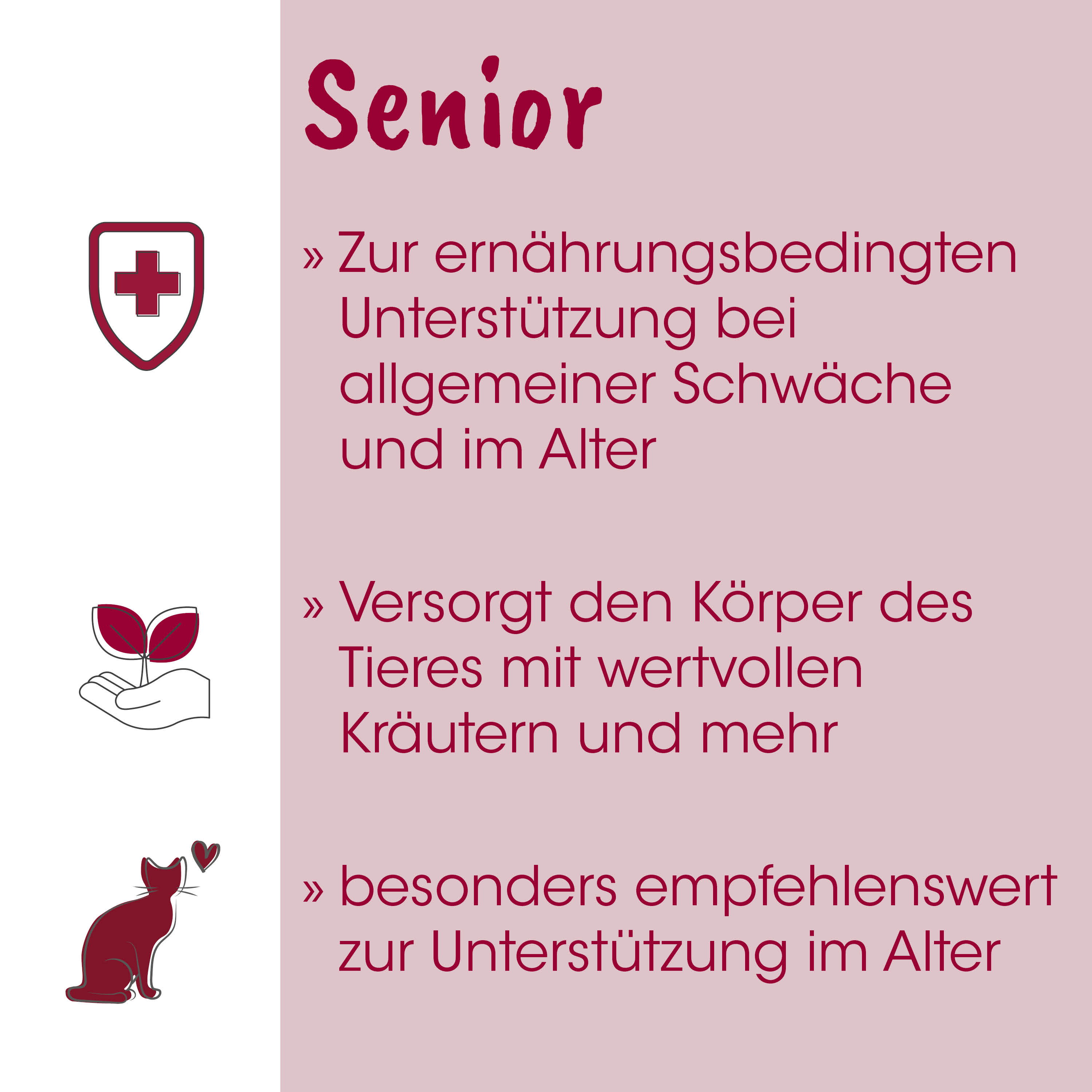 Senior, Ernährung, Unterstützung, Schwäche, Kräftigung