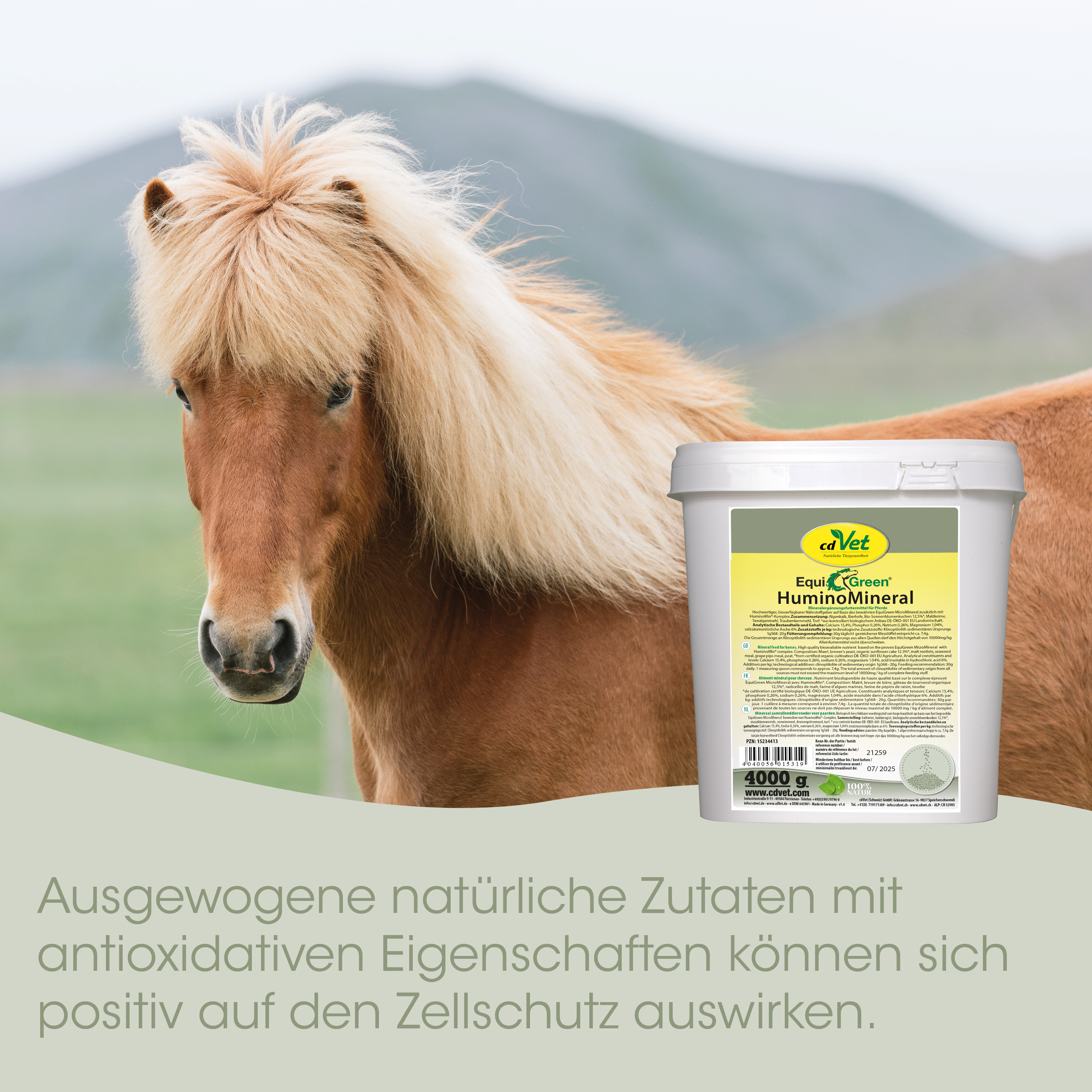 Pferd, Mini-Pferd, HimmunMineral, Eimer, Tierfutter