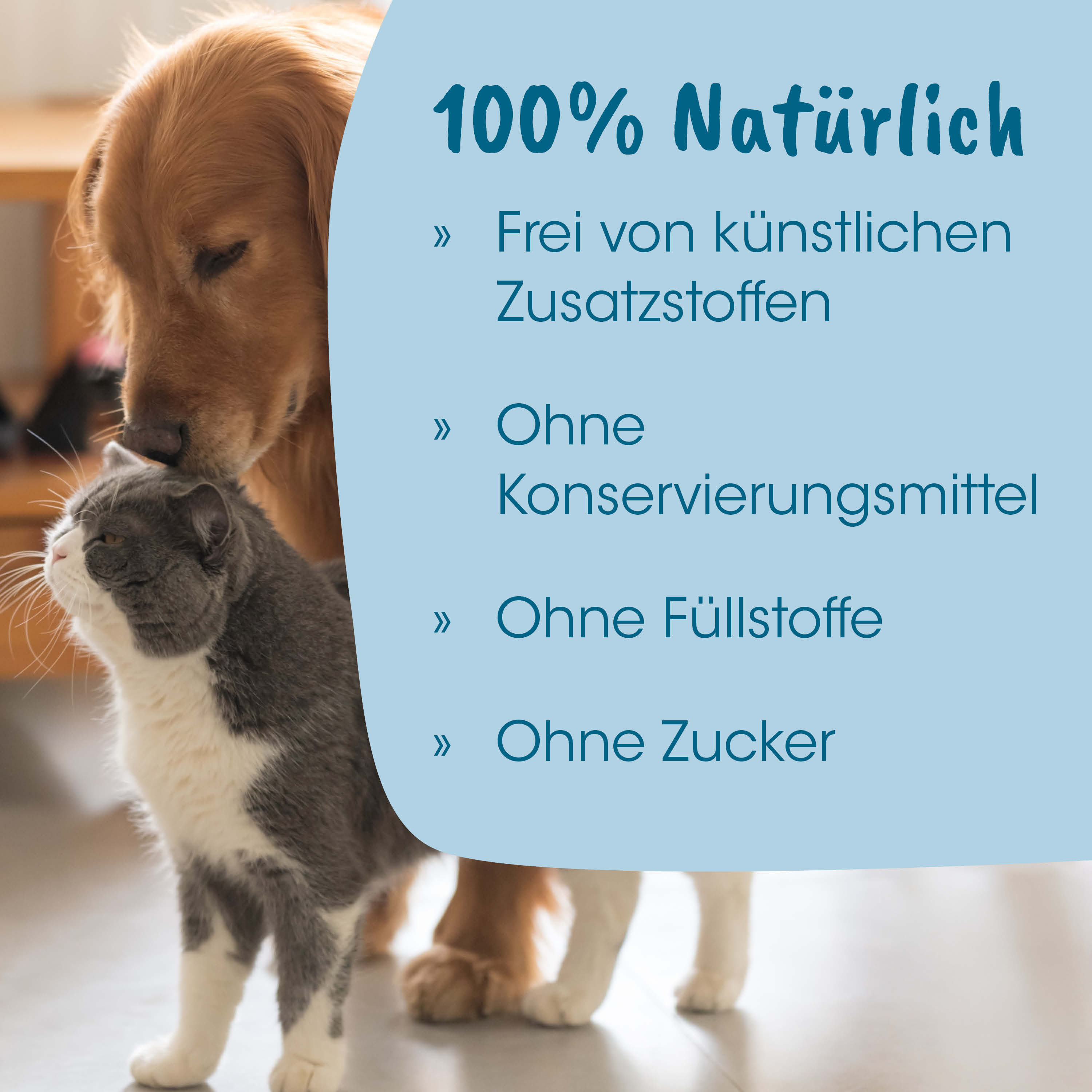 Tierliebe, Katzenhund-Interaktion, Haustierpflege, Haustiergesundheit, Allergikerfreundlich