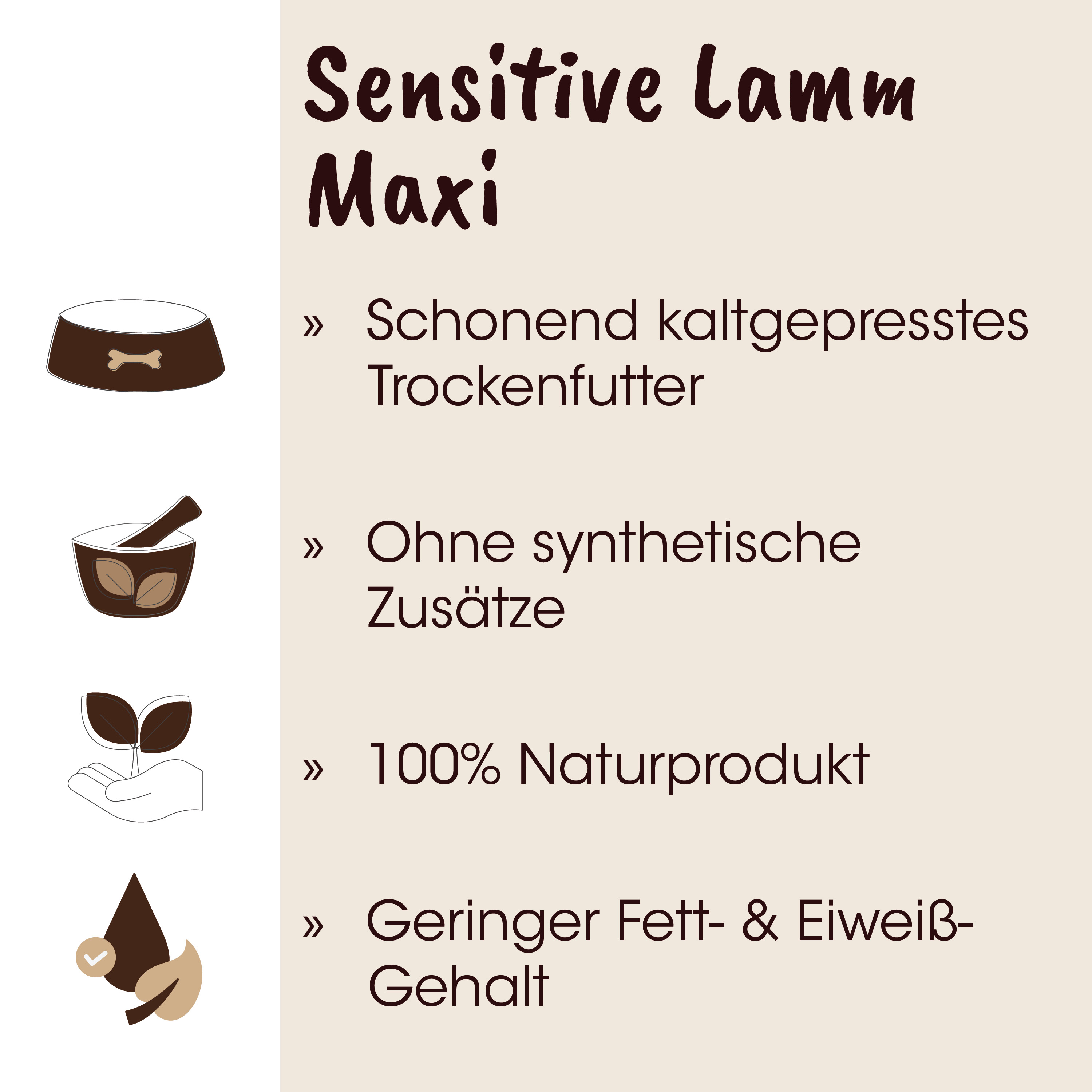 Nagetier, Schüssel, Pflanze, Hand, Naturprodukt