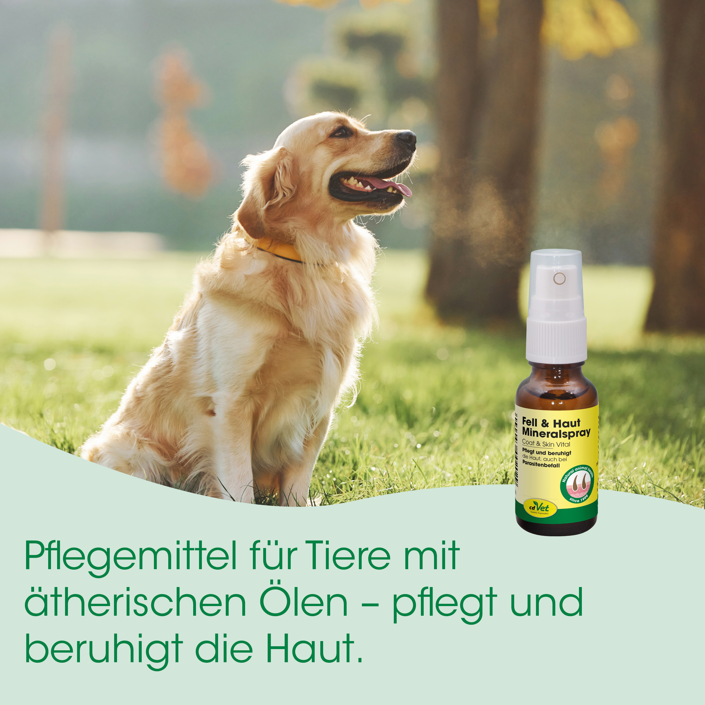Hund, Pflegemittel, Fellpflege, Mineralölspray, Outdoor