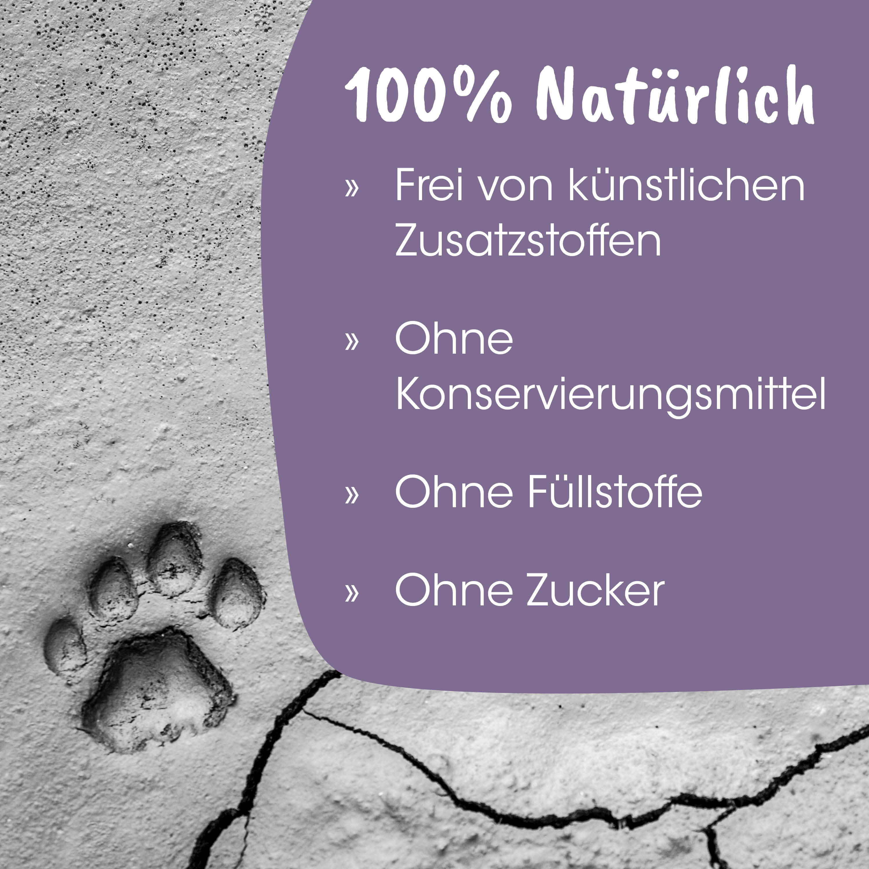 Pfotenabdruck, Stein, rissig, Beton, Textur