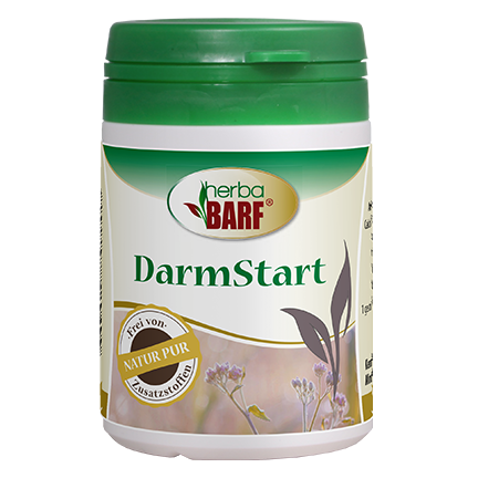 Kräuterig, Kräuter, Pflanze