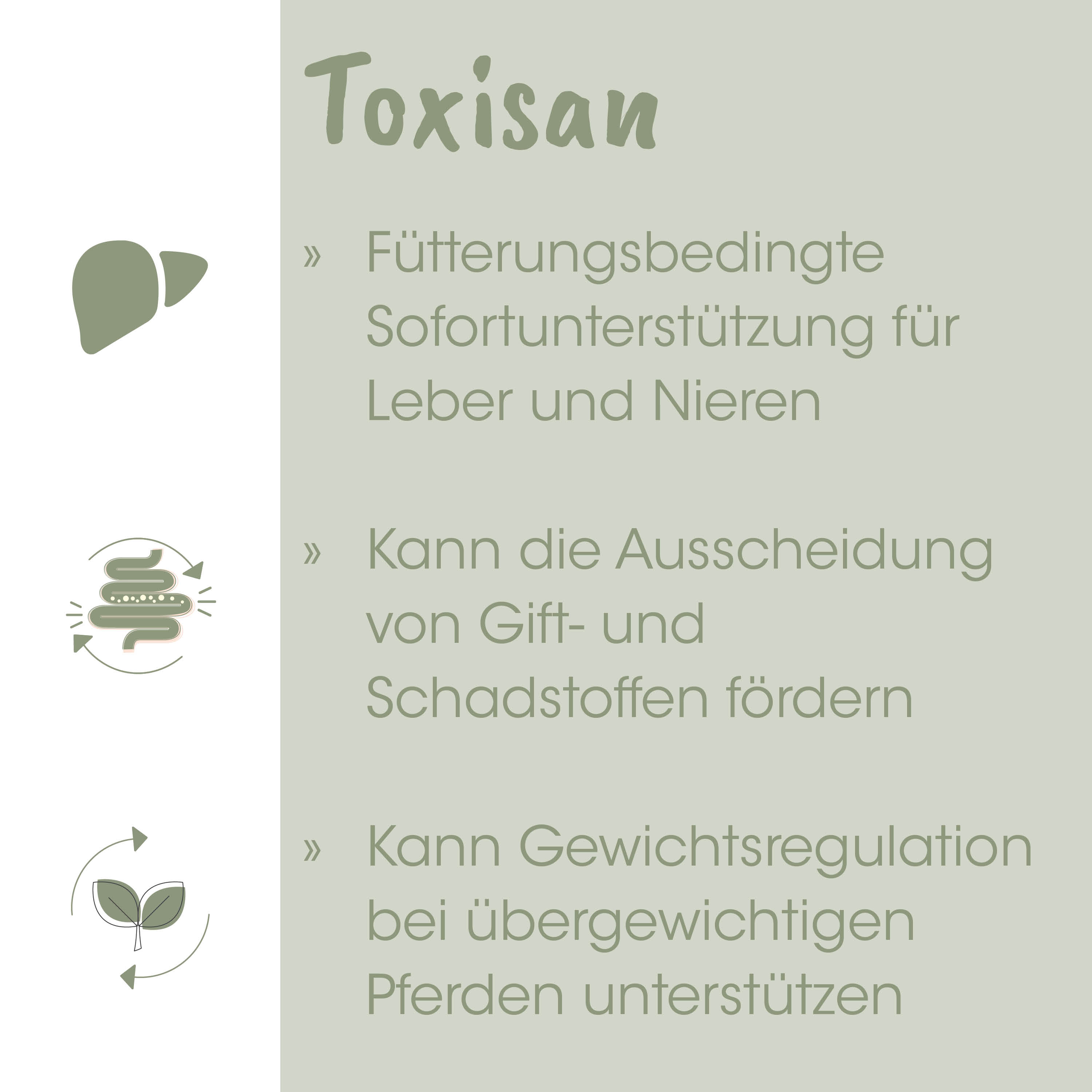 medizinisch, tierarzt, futternapf, giftstoffe, gewichtregulation
