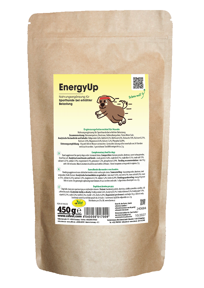 EnergyUp 450 g