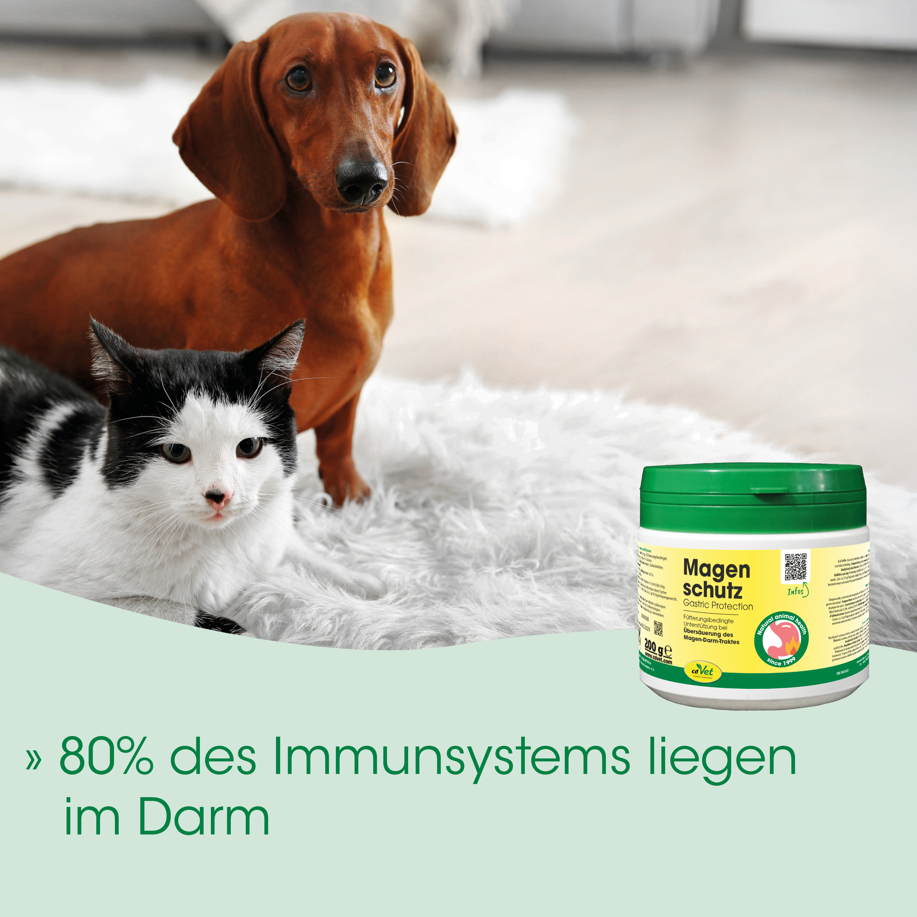 Hund, Katze, Tiermedizinisches Produkt, Magen Schutz, Futterergänzung