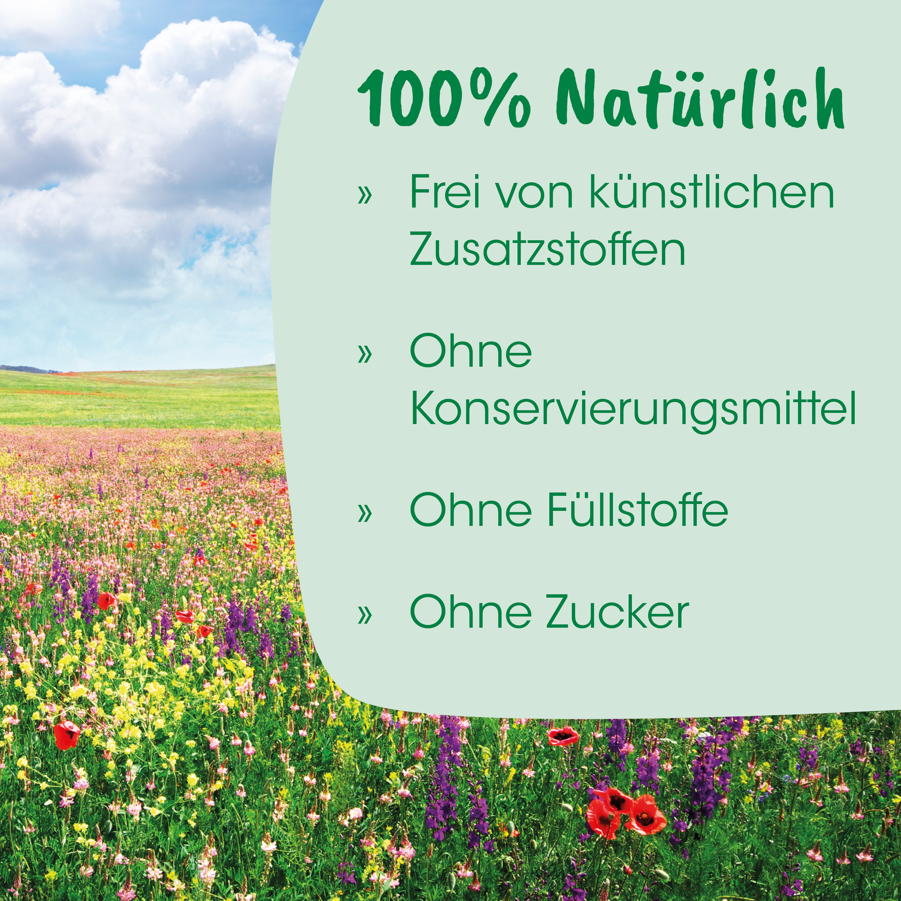Feld, Blumen, Wiese, Wildblumen, Natur