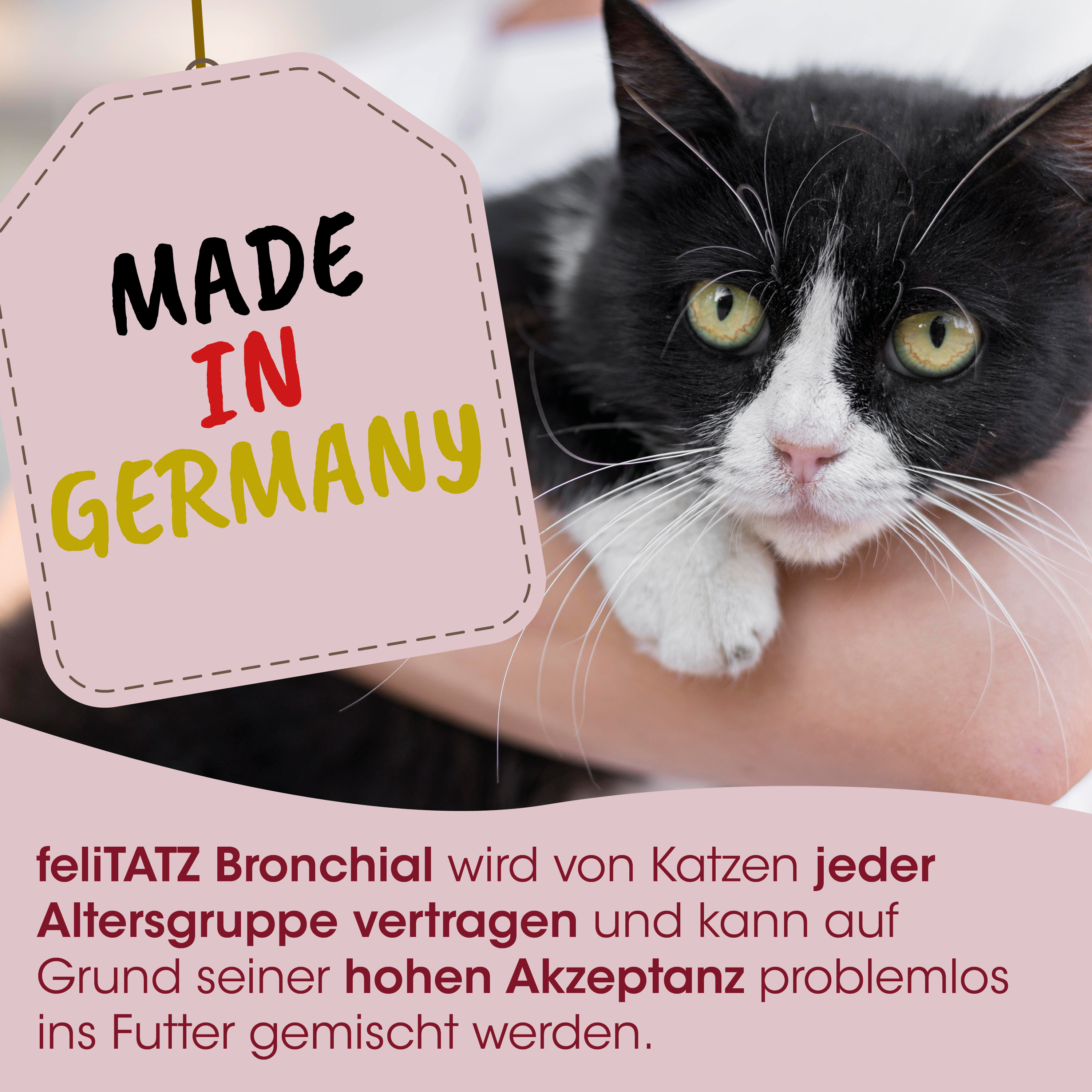 katze, schwarz-weiße katze, tieretikett, adoptierbar, hergestellt in deutschland