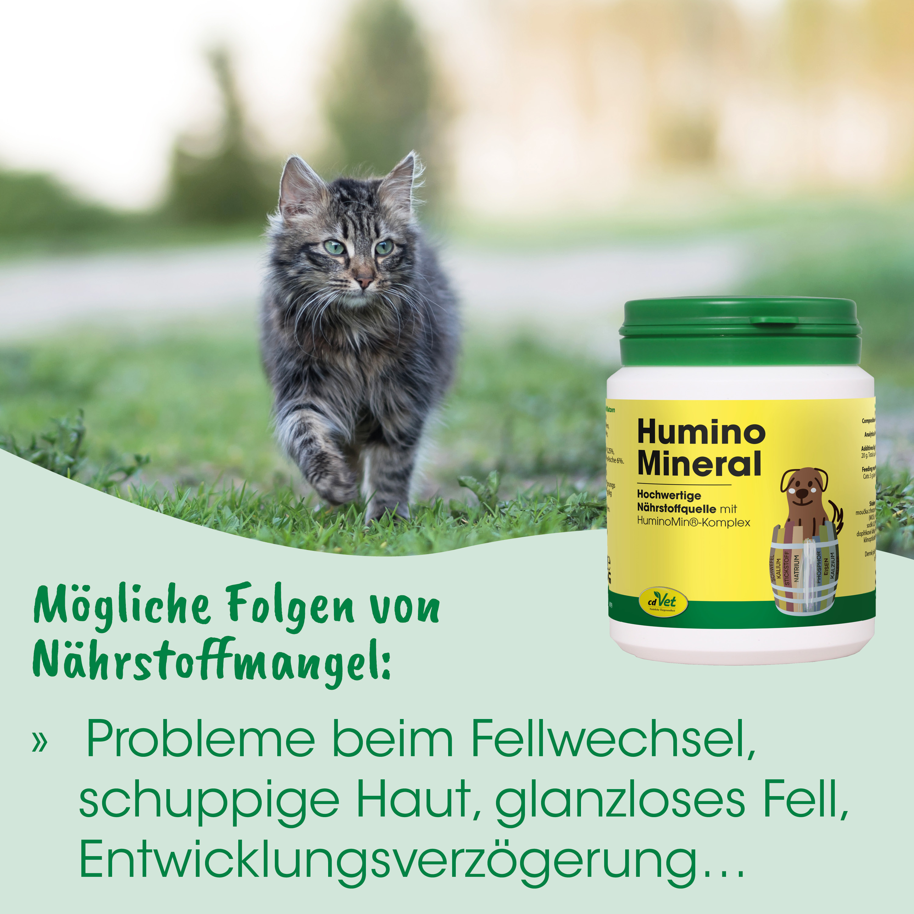 Katzenbild, Katze, Nahrungsergänzung, Mineralfutter, Dose/Behälter