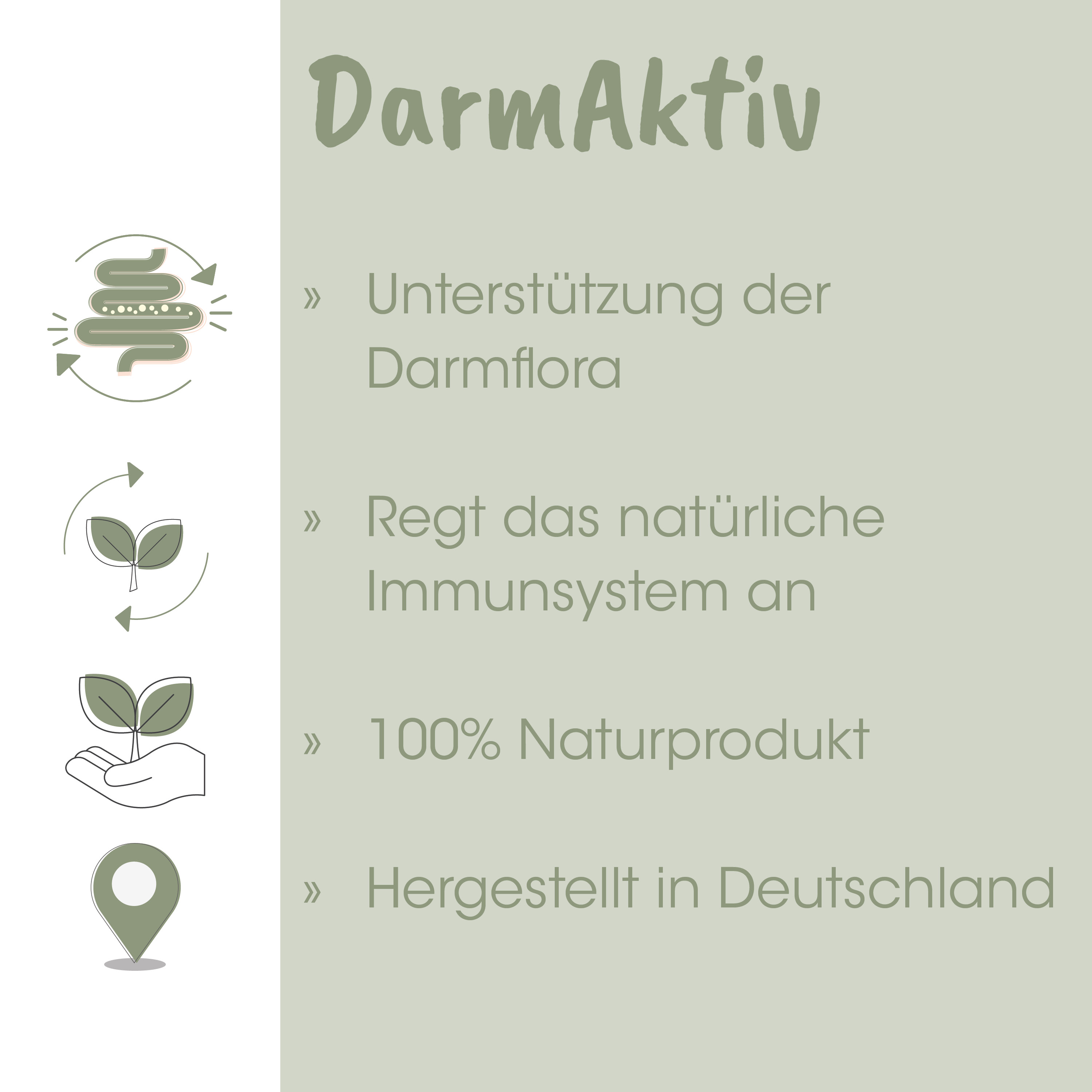 Magen-Desgesundheit, Darmgesundheit, Probiotika, Naturprodukt, Deutschland Herkunft