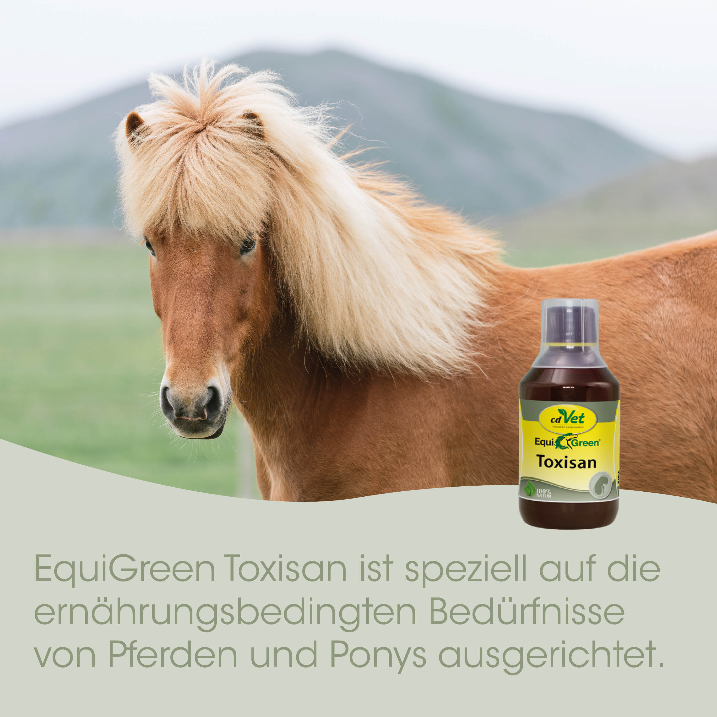 Pferd, Ponny, Hellbraun, Mähne, Nahrungsergänzungsmittel-Flasche