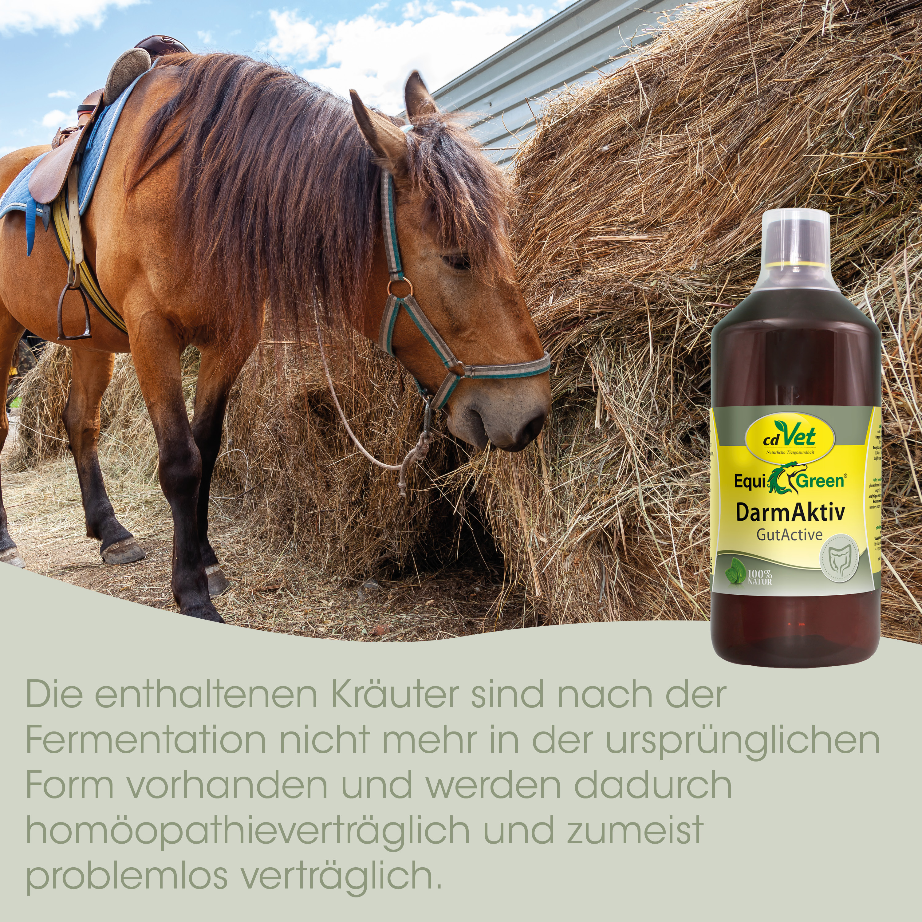 pferd, sattel, strohballen, flasche, zusatzmittel