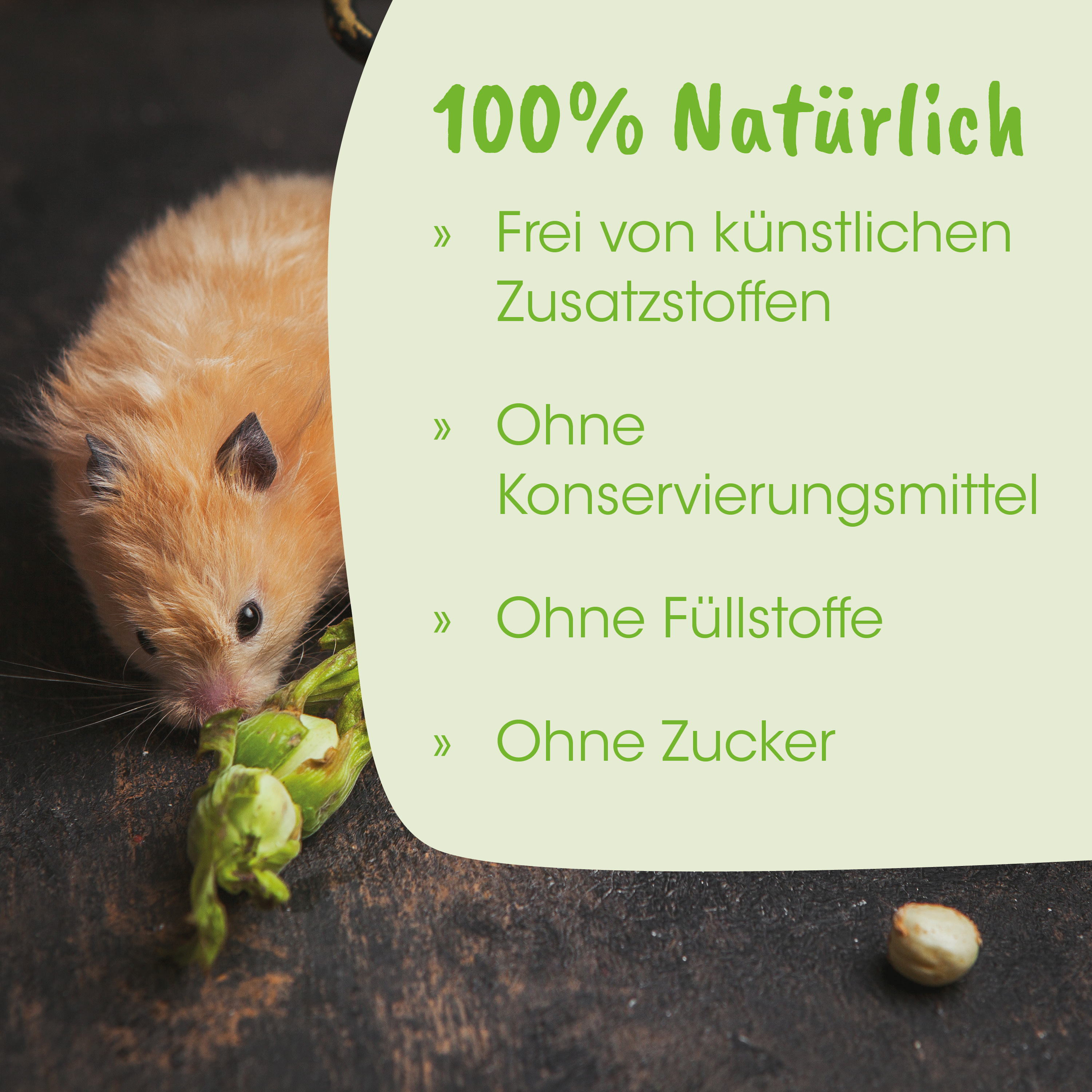 hamster, pet, orange fur, green leafy, nut