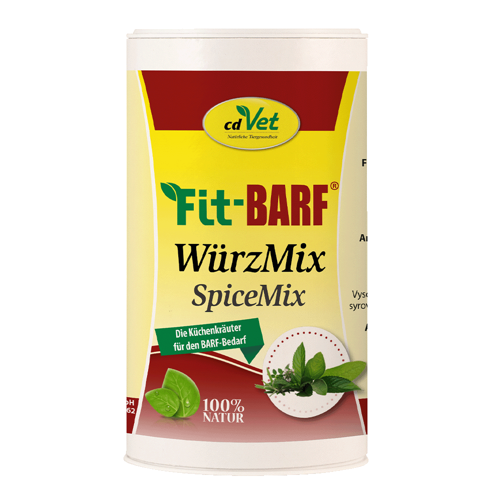 Buch, Veröffentlichung