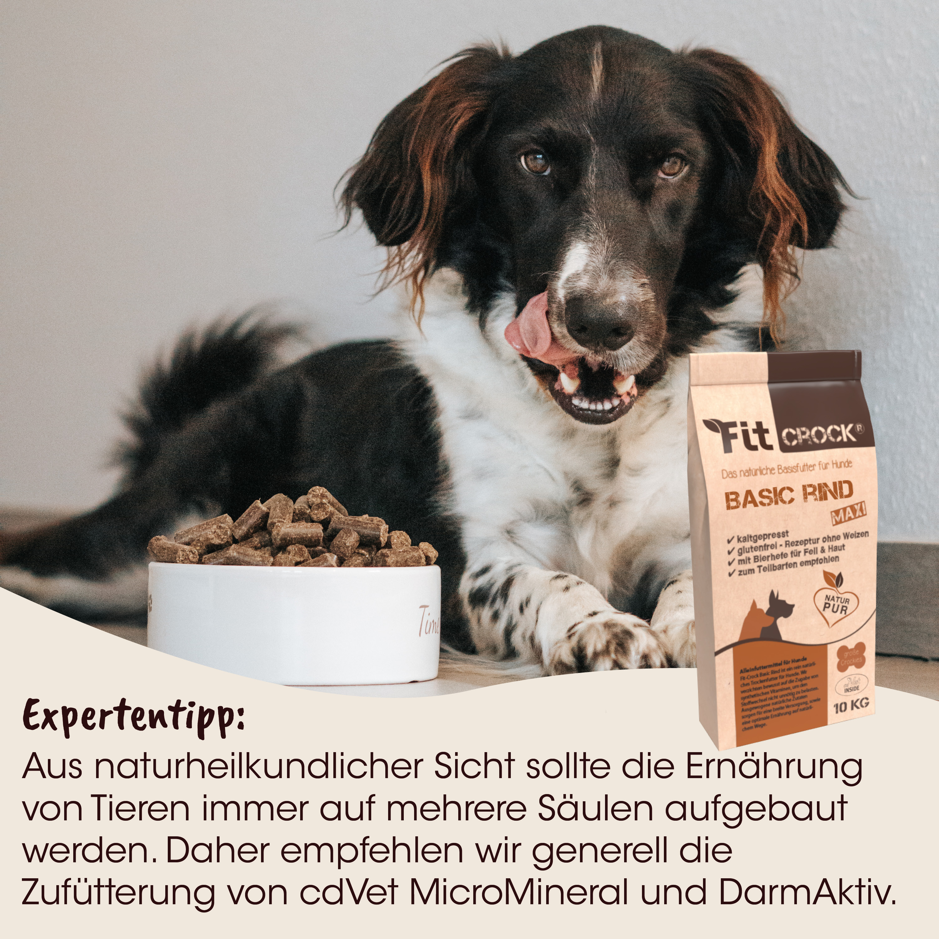 Hund, Hundefutter, Knochenfutter, Trockenfutter, Nahrungsergänzung