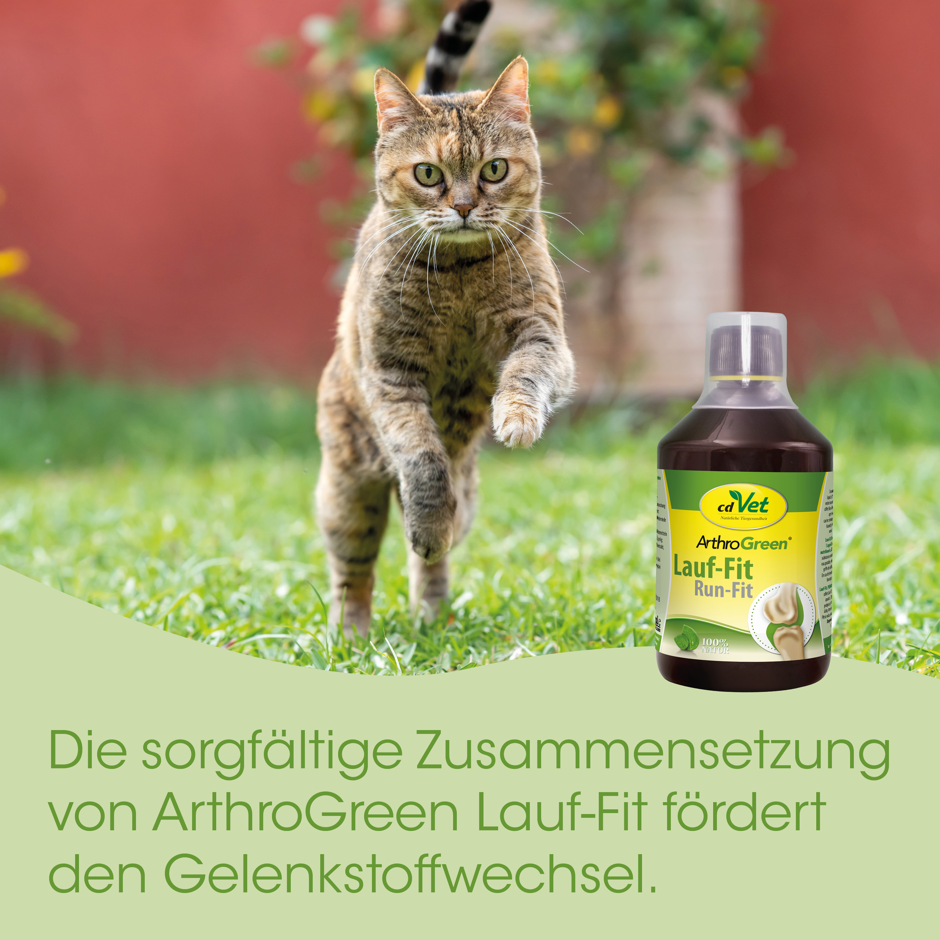 Katzenfutter, ArthroGreen, Lauf-Fit, Run-Fit, Tiergesundheit