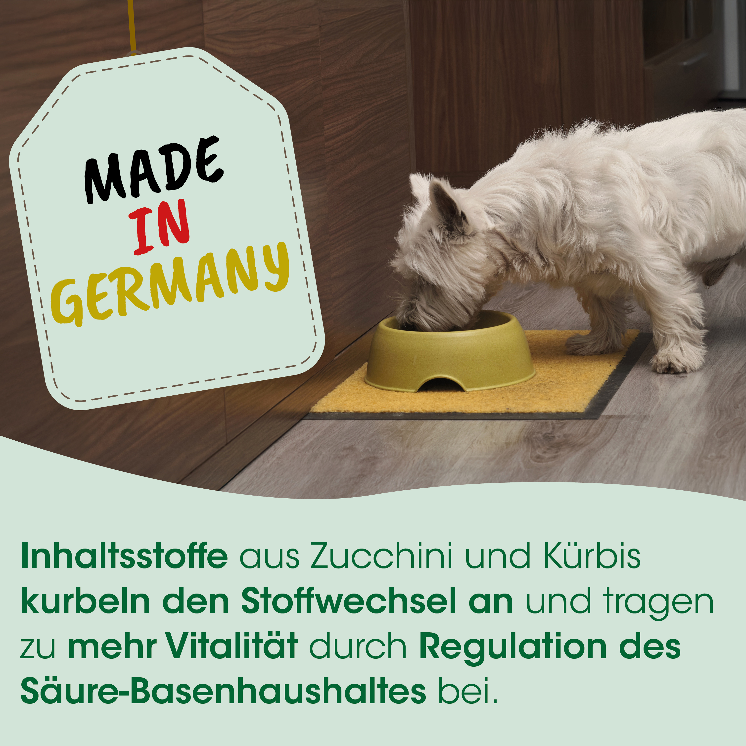 Hund, Hundenapf, Futterstation, Made in Germany, Hundeernährung