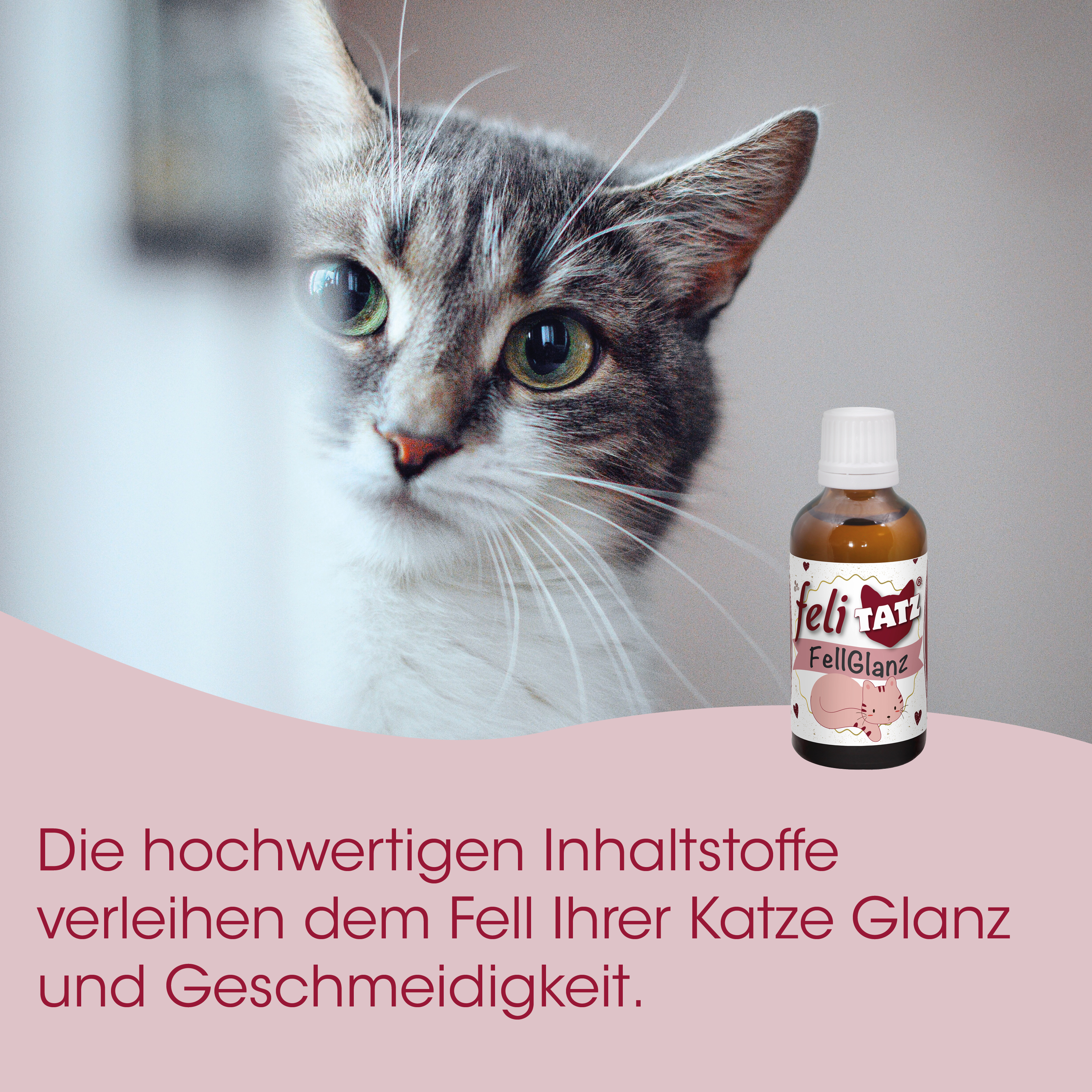 katzennapf, fellteel, feliTatz, katze, flasche