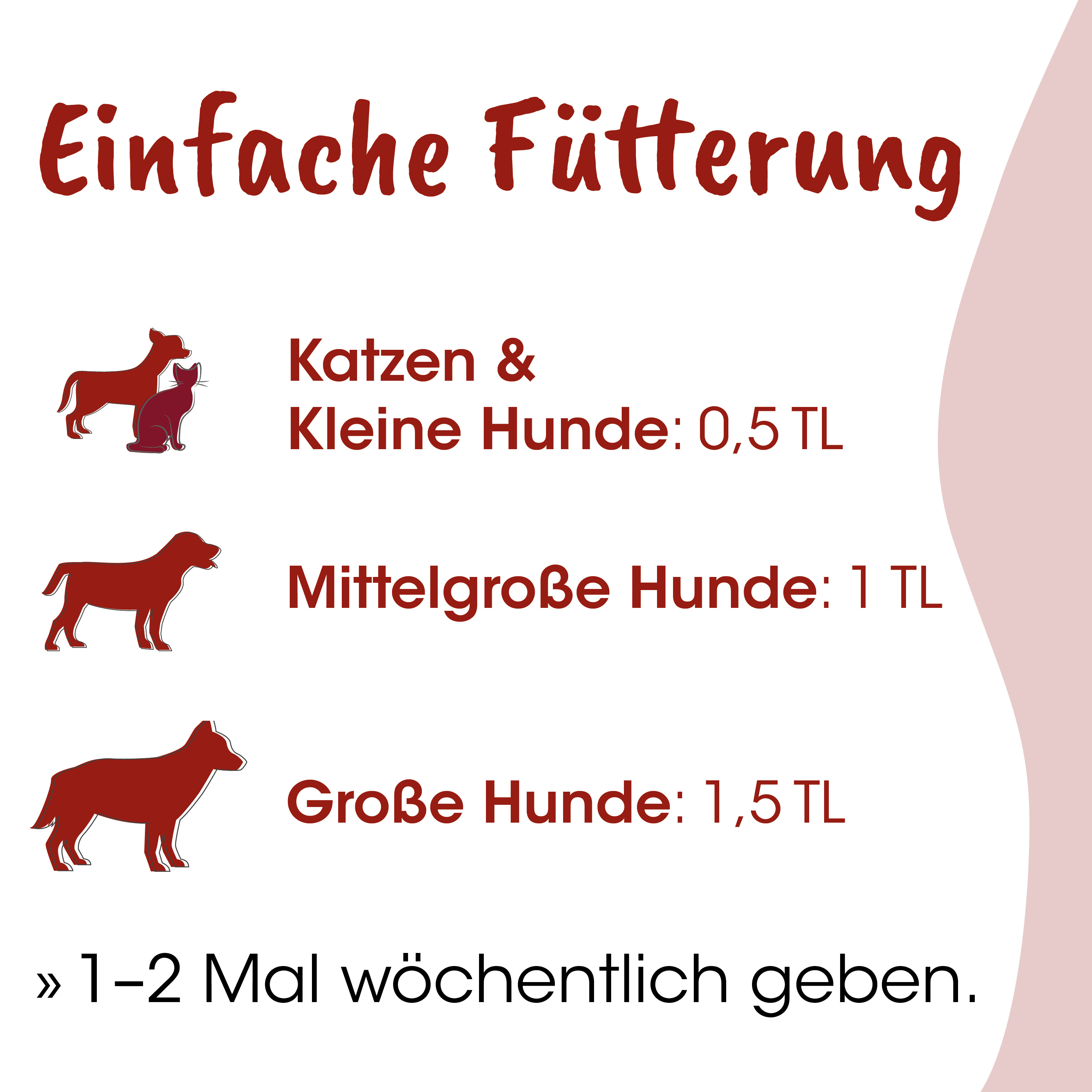 Hund, Katzen, Hunde, Tierfutter, Fütterung