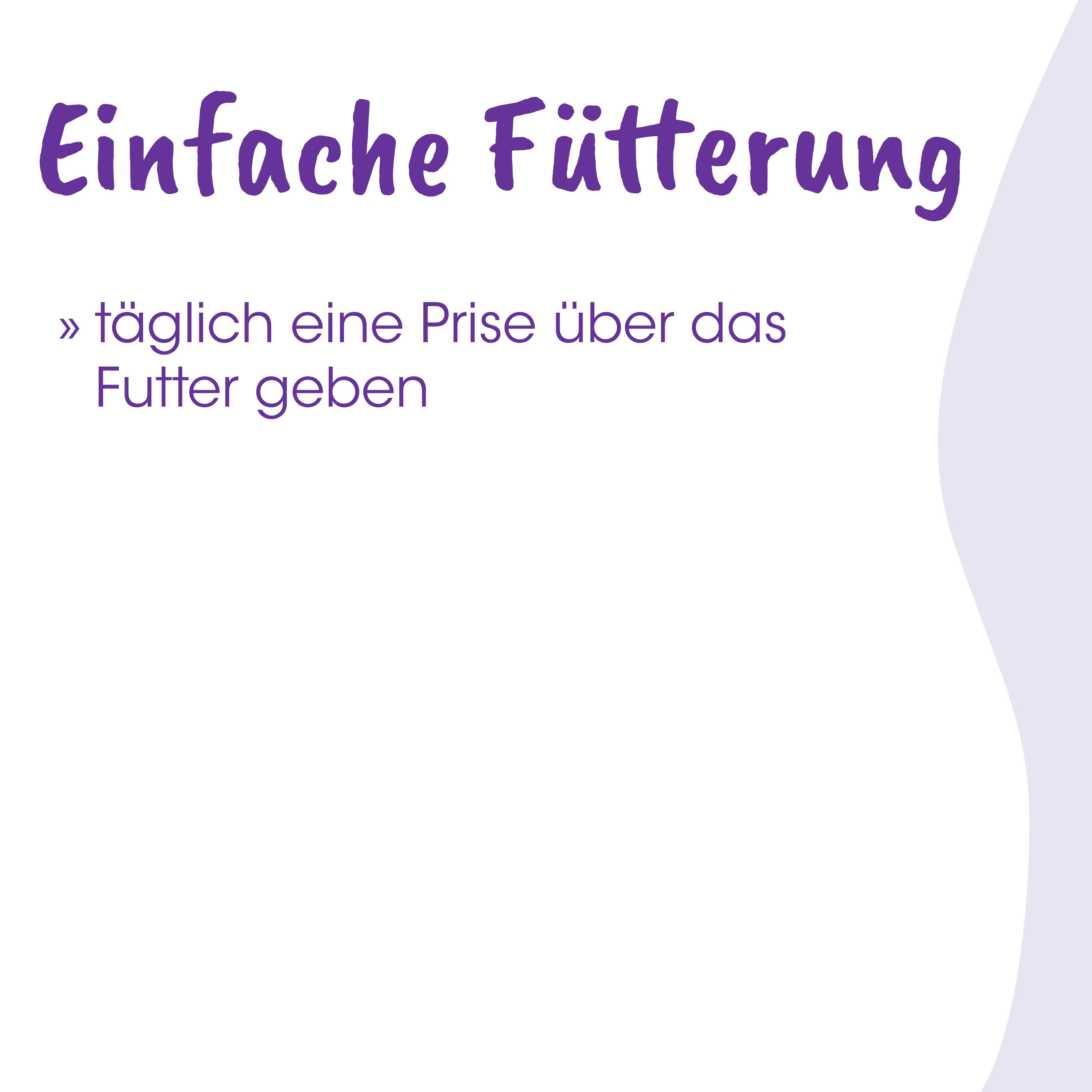 futterring, nahrungsergänzung, tierbedarf, tiere, futterstation
