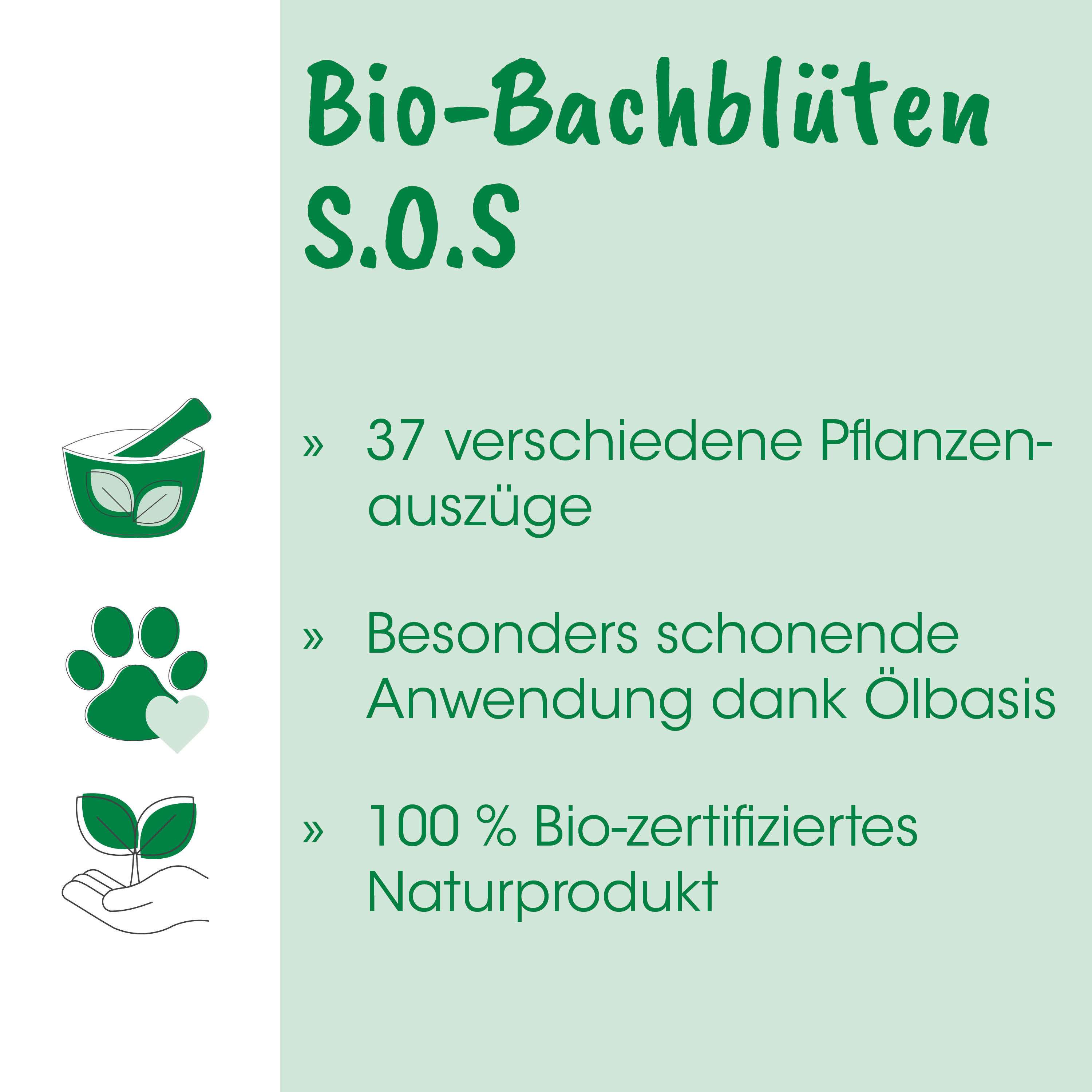 bio, pflanzen, natürlicher, ölbasis, nachhaltig