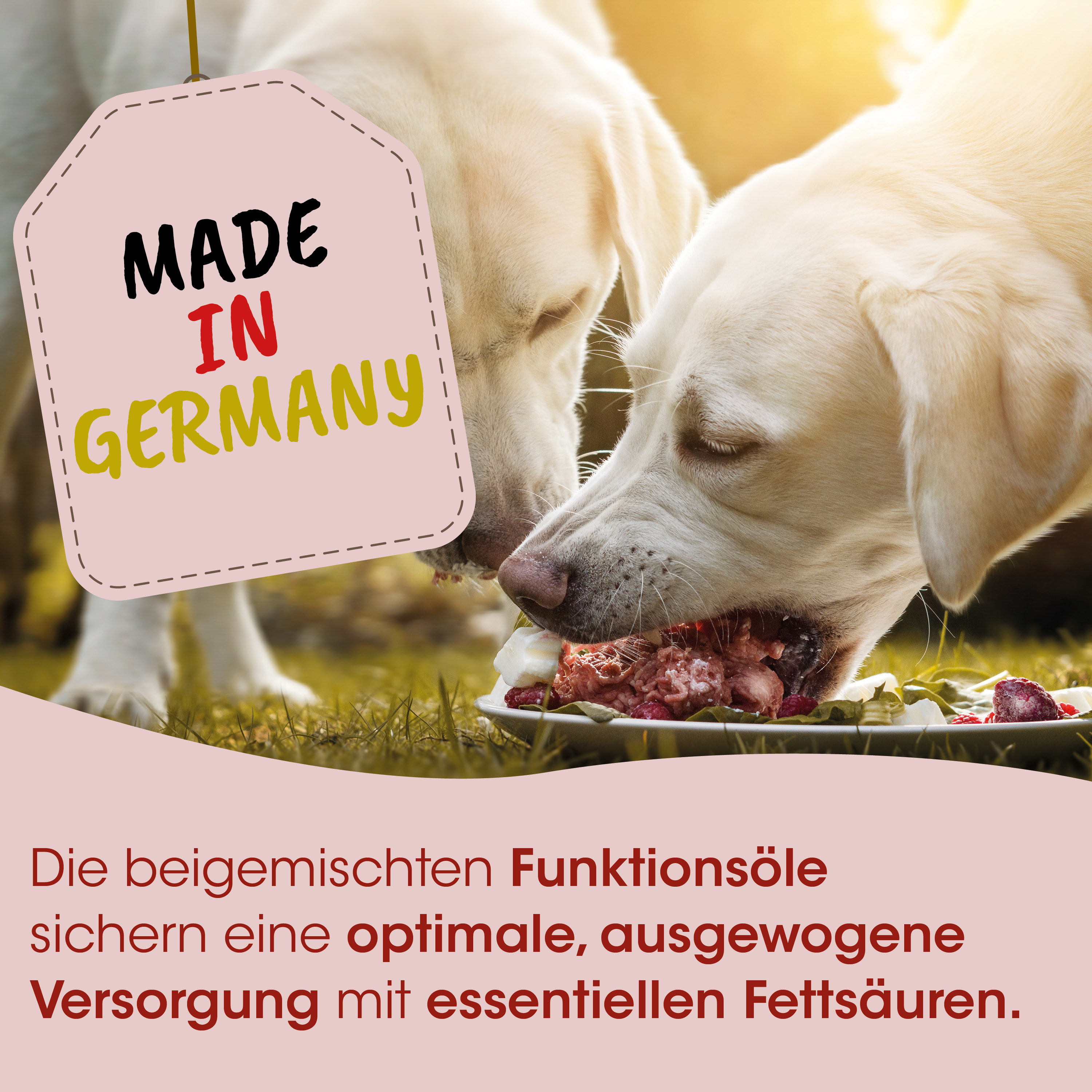 Hundesnacks, Ernährung, Fleisch, Trockenfutter, Made in Germany