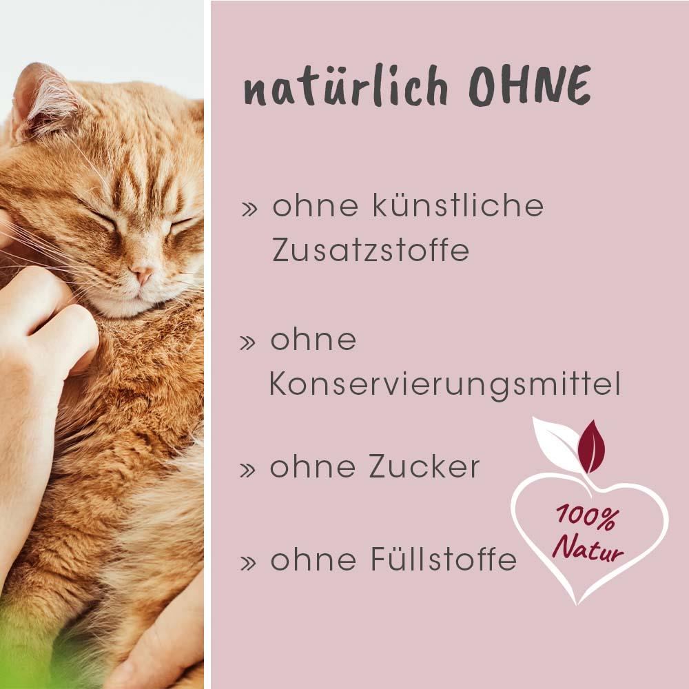 Katzenbild, Katze, Katzenfell, Pflege, Hautpflege