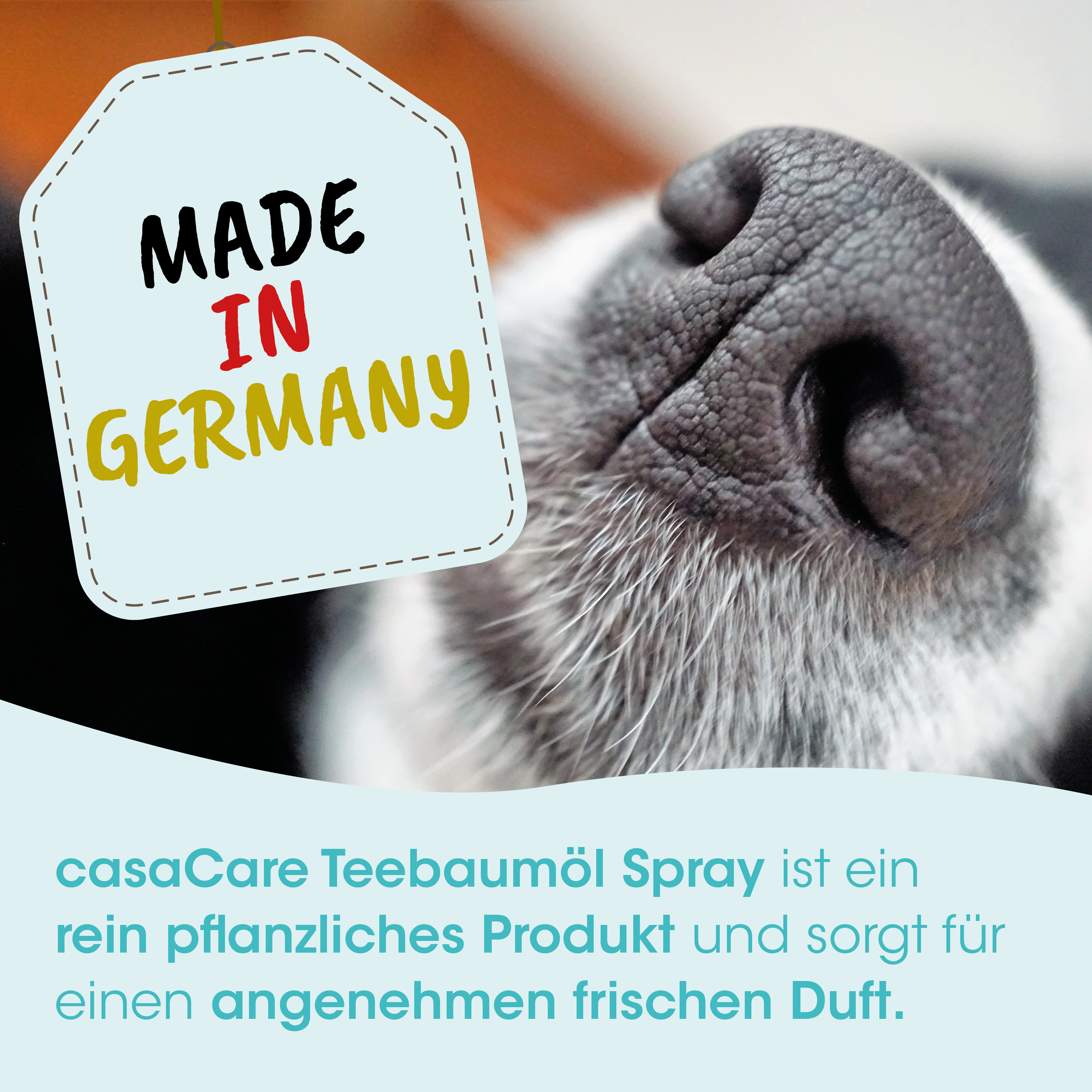 Hundeschnauze, Nahaufnahme, Aufkleber, Hergestellt in Deutschland, Teebaumöl-Spray