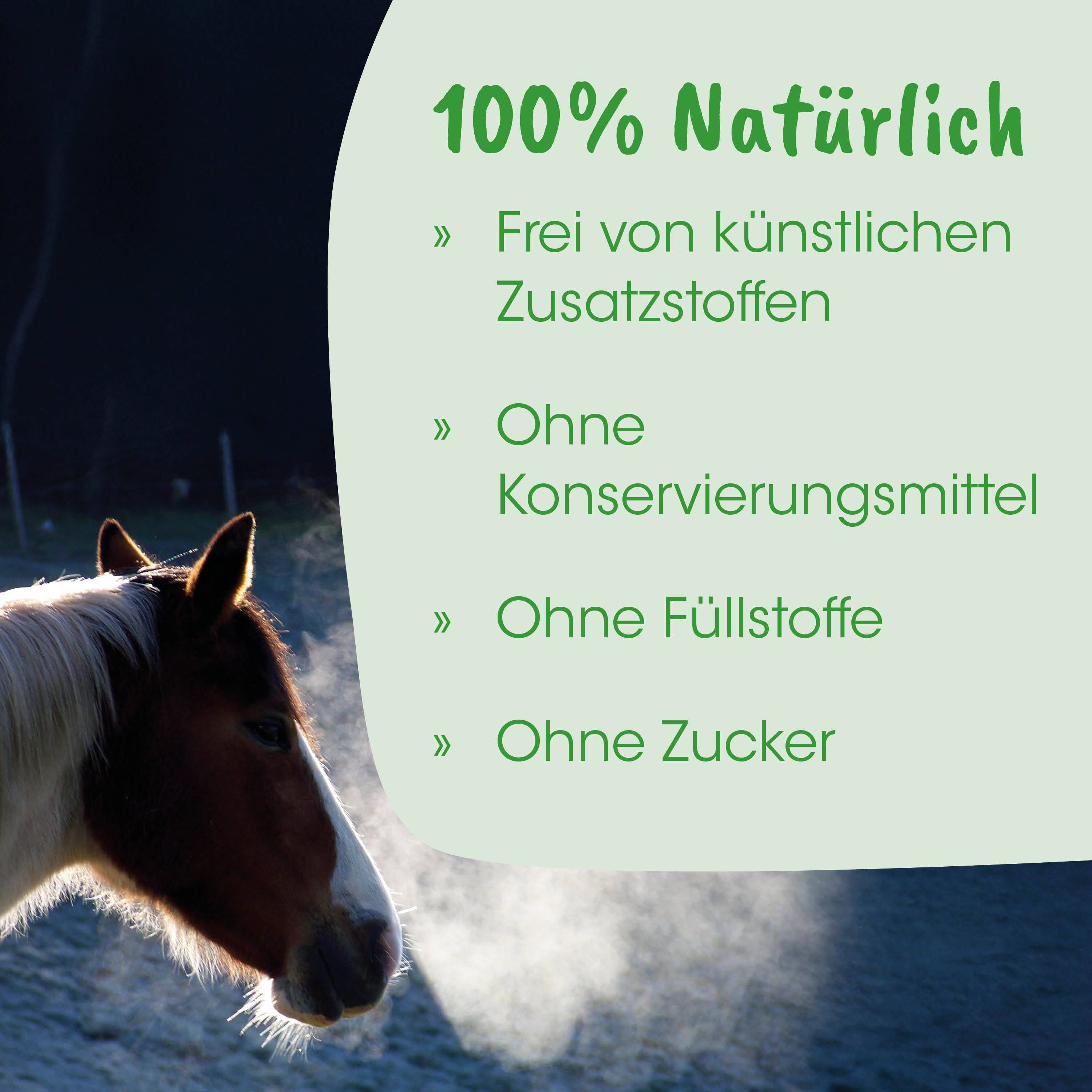 Pferd, Pferdekopf, Natur, Tierfoto, Sichtbares Wasser