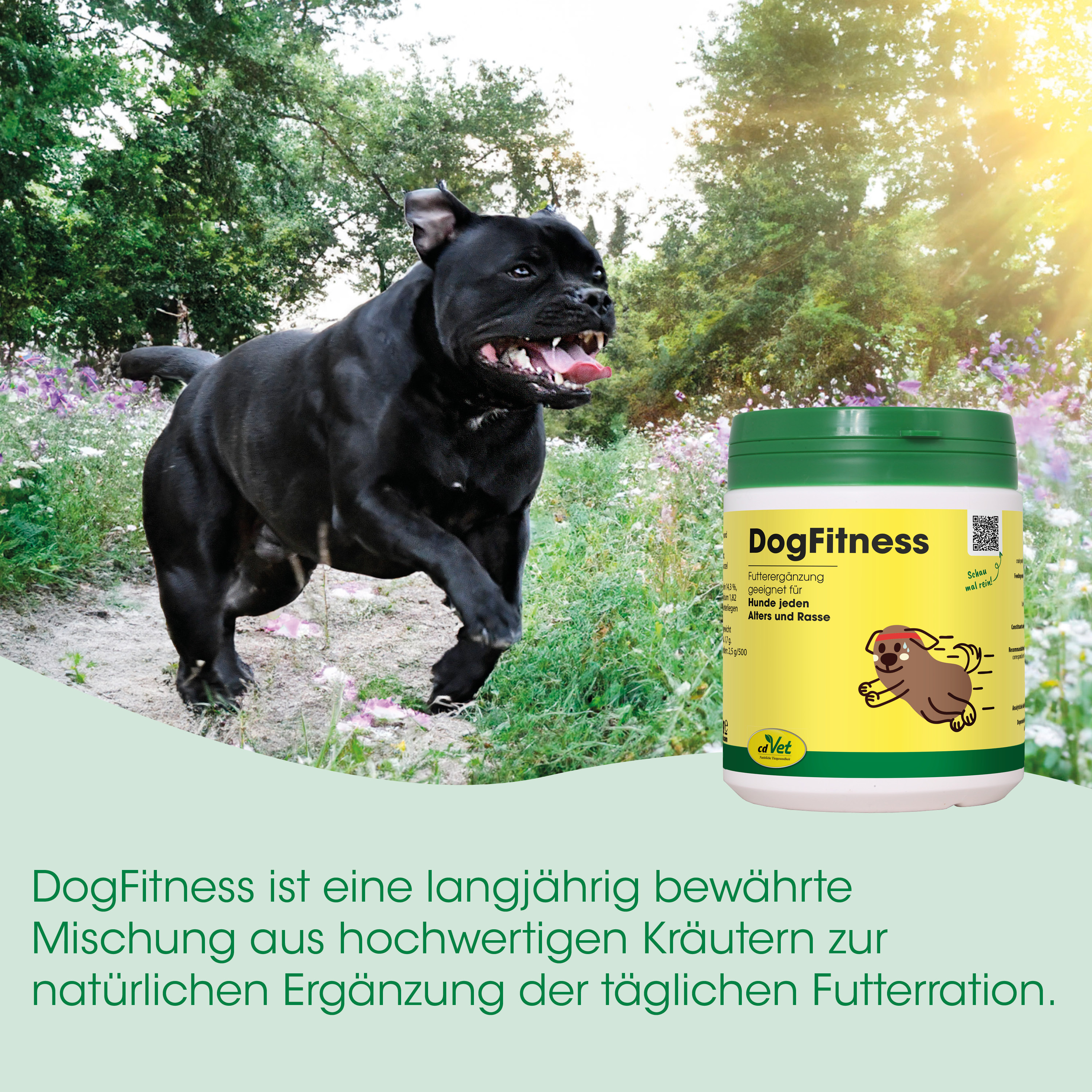 Hund, Sport, Futter, Kräuter, Tierernährung