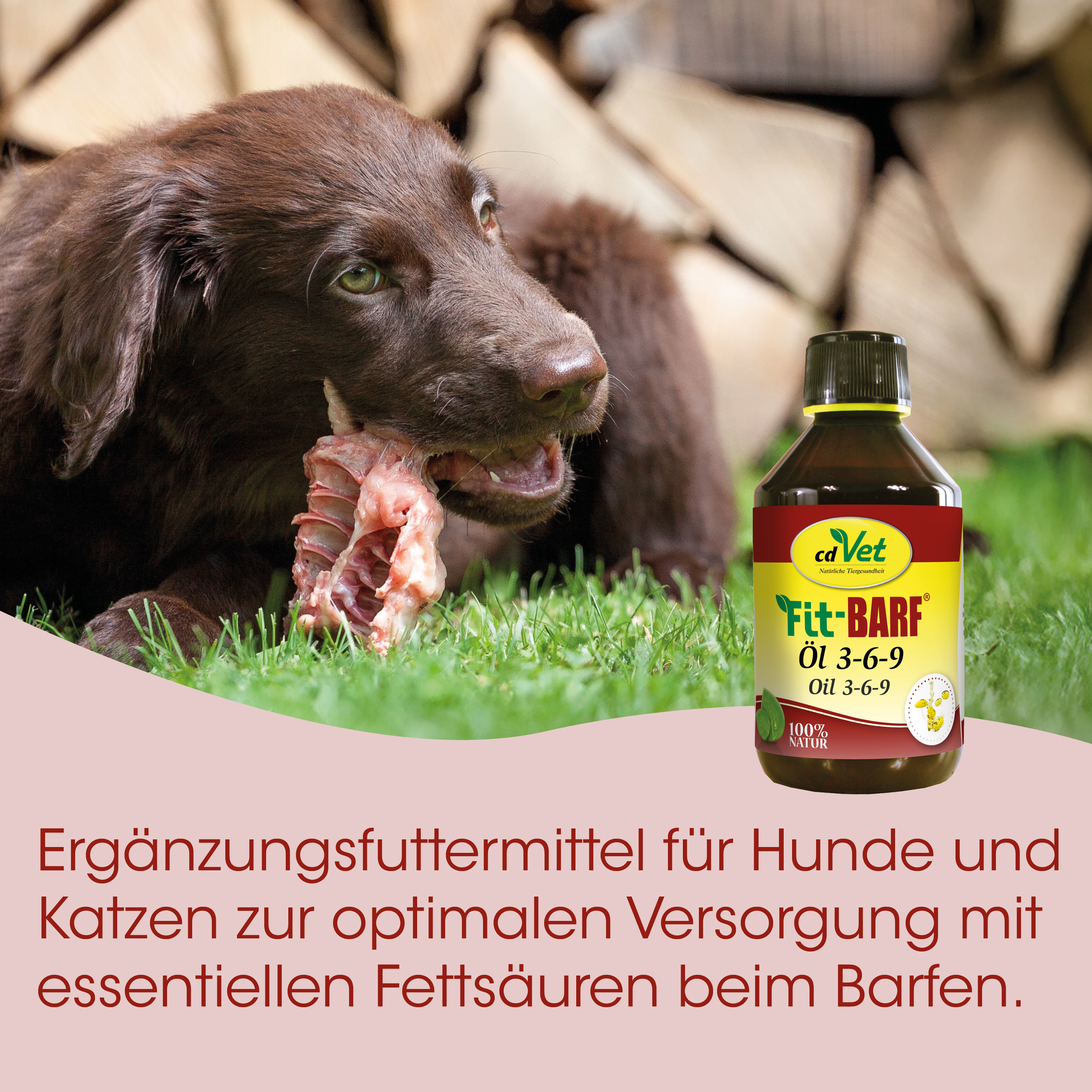 Hund, Hundefutter, Öl-Ergänzung, Knochen, braun